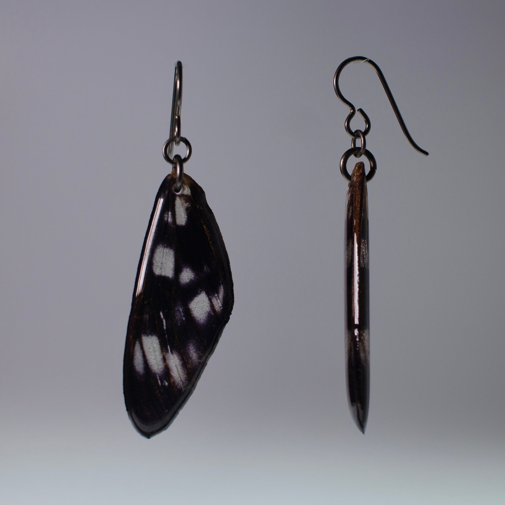 real moth wing earrings tiger moths black niobium French hook earring side view