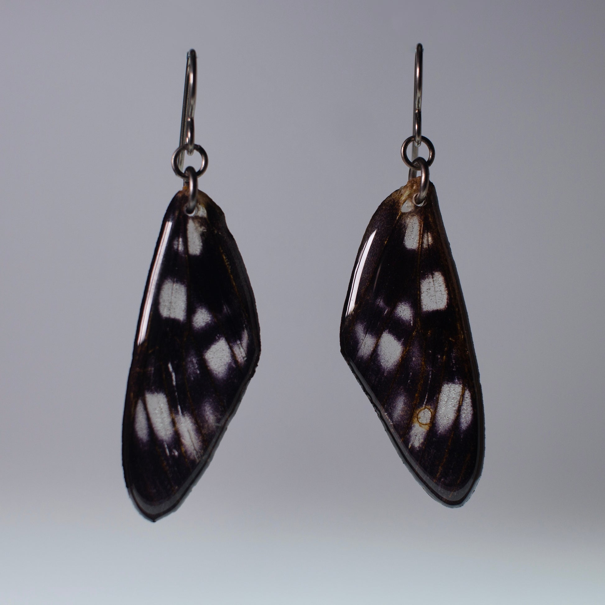 real moth wing earrings tiger moths black niobium French hook earring