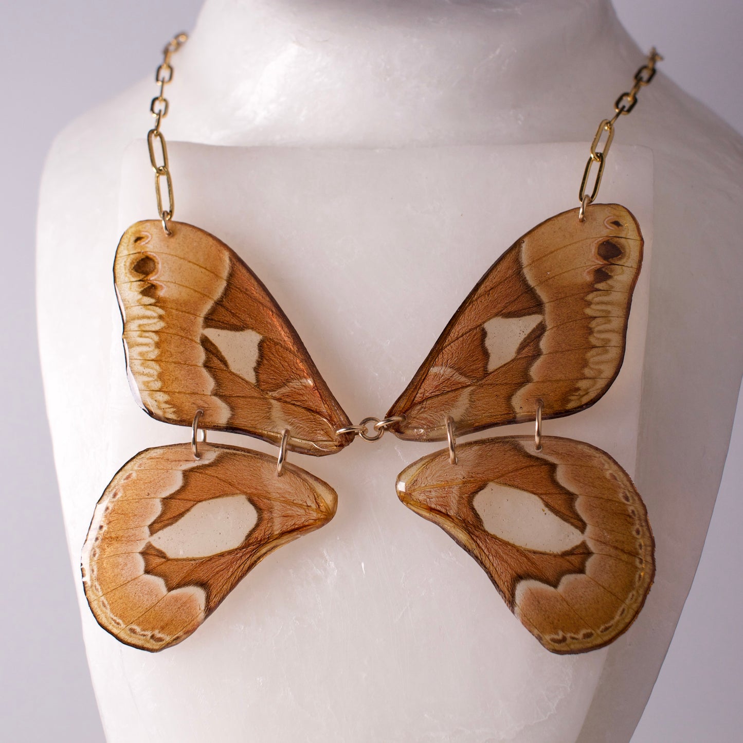 real moth wing necklace Brazilian silk moths gold paperclip chain on neck form