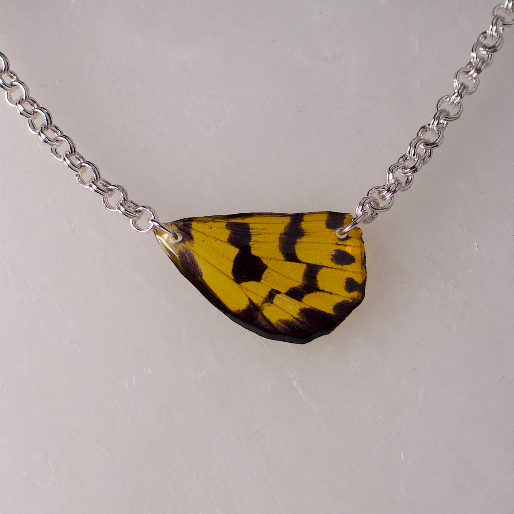 real moth wing necklace yellow black false tiger moths silver double link chain close up on wax
