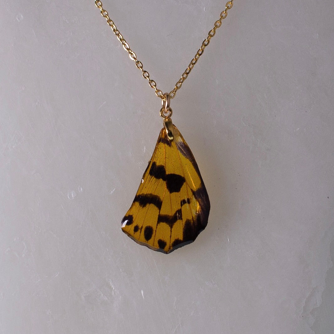 real moth wing pendant false tiger moths gold necklace on wax background