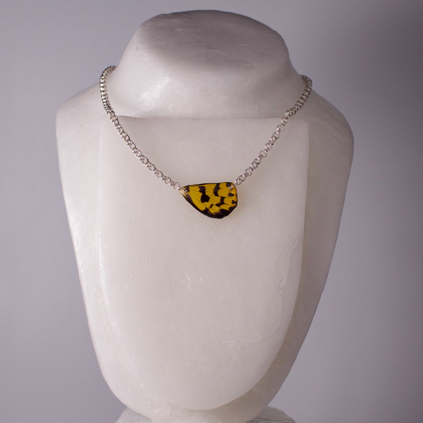 real moth wing pendant yellow black false tiger moths silver chain necklace on mannequin