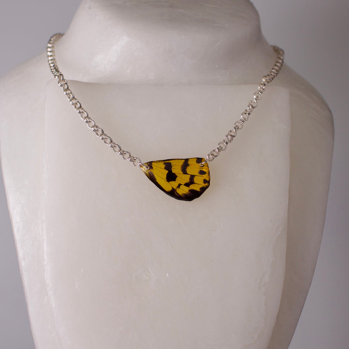 real moth wing pendant yellow black false tiger moths silver double link chain necklace