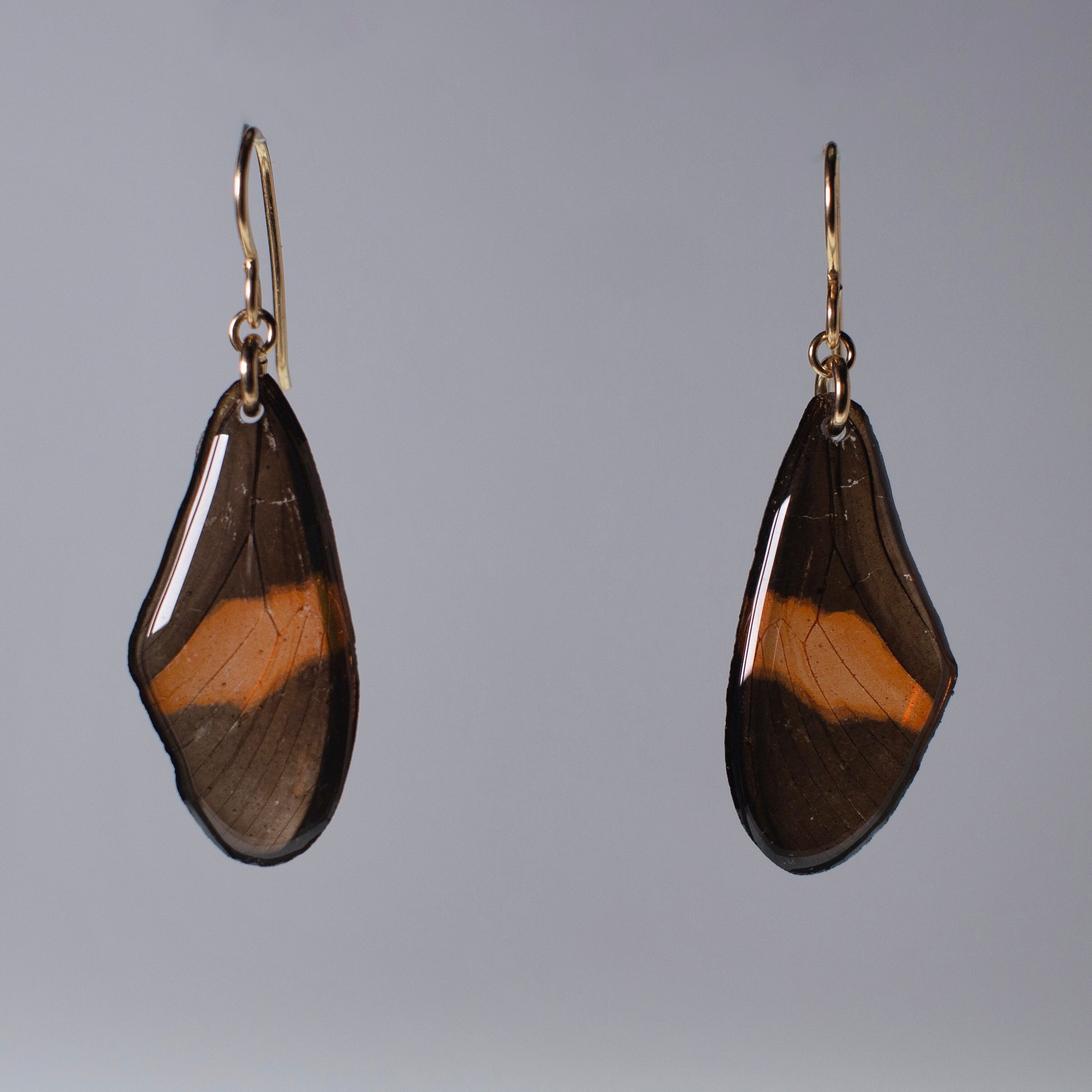 real red butterfly wing earrings Heliconius butterflies gold earring grey background