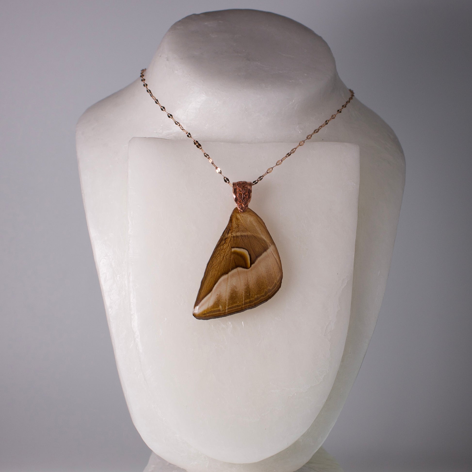 Real silk cecropia moth wing necklace rose gold botanical bail and chain on wax form