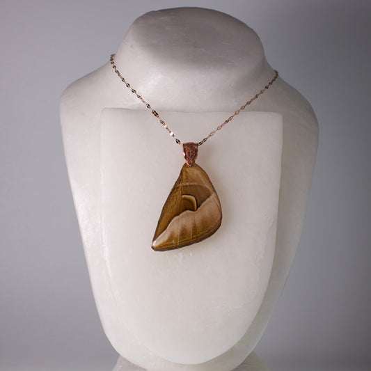 Real silk cecropia moth wing necklace rose gold botanical bail and chain on wax form