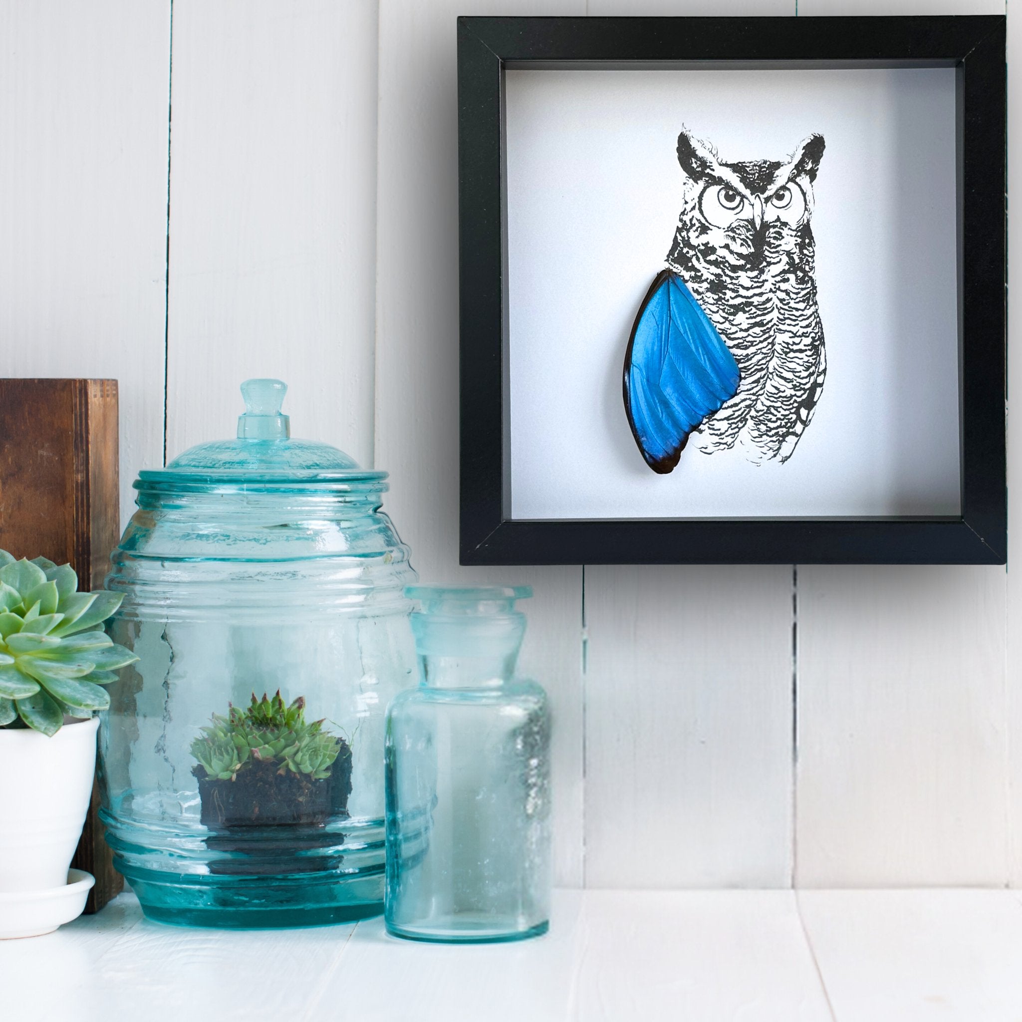 Realistic Horned Owl Framed Art with Real Butterfly Wings - Isms Butterfly Conservation ArtFramed Art