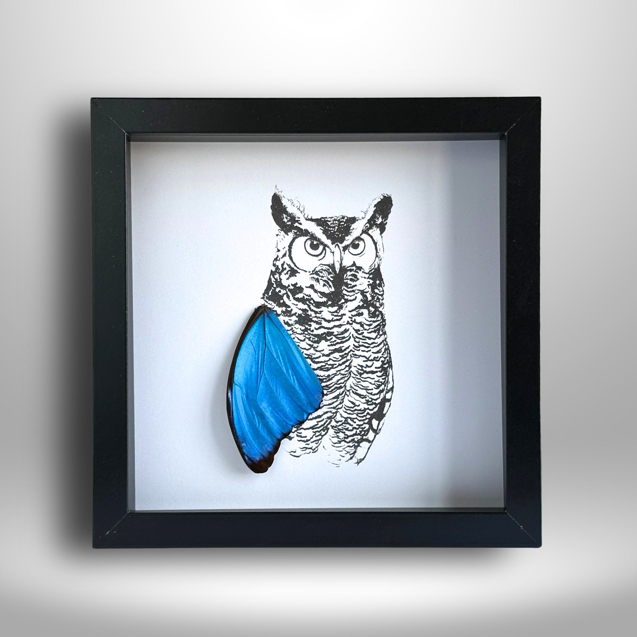 Realistic Horned Owl Framed Art with Real Butterfly Wings - Isms Butterfly Conservation ArtFramed Art