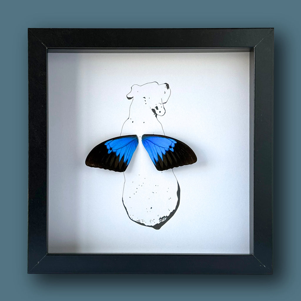 Sitting Dog Framed Boxer Art with Real Butterfly Wings - Isms Butterfly Conservation ArtFramed Art