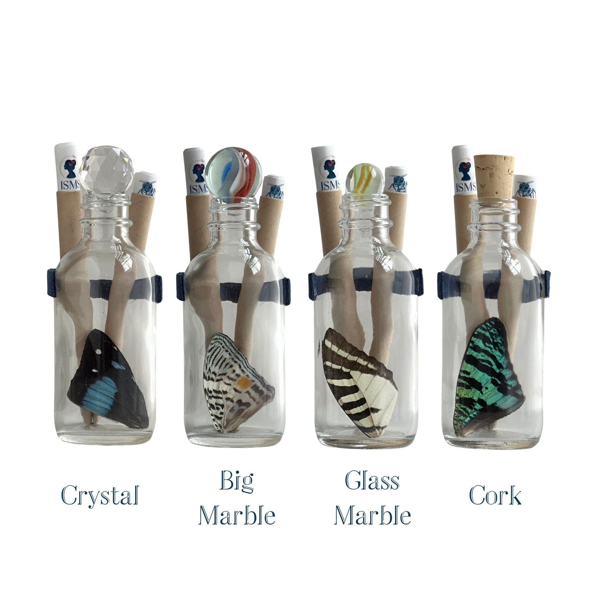 Standard Butterfly Wing in Glass Bottle - Isms Butterfly Conservation ArtBottles