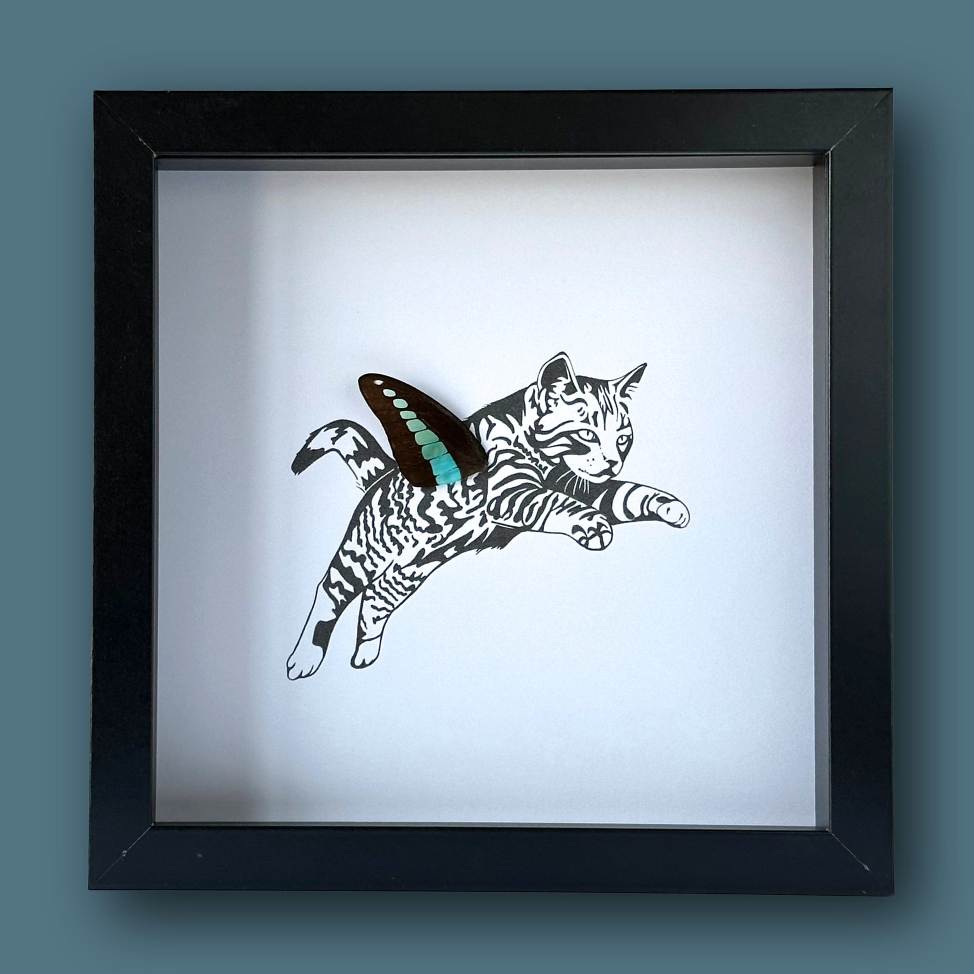 Tabby Cat Framed Art with Real Butterfly Wing - Isms Butterfly Conservation ArtFramed Art