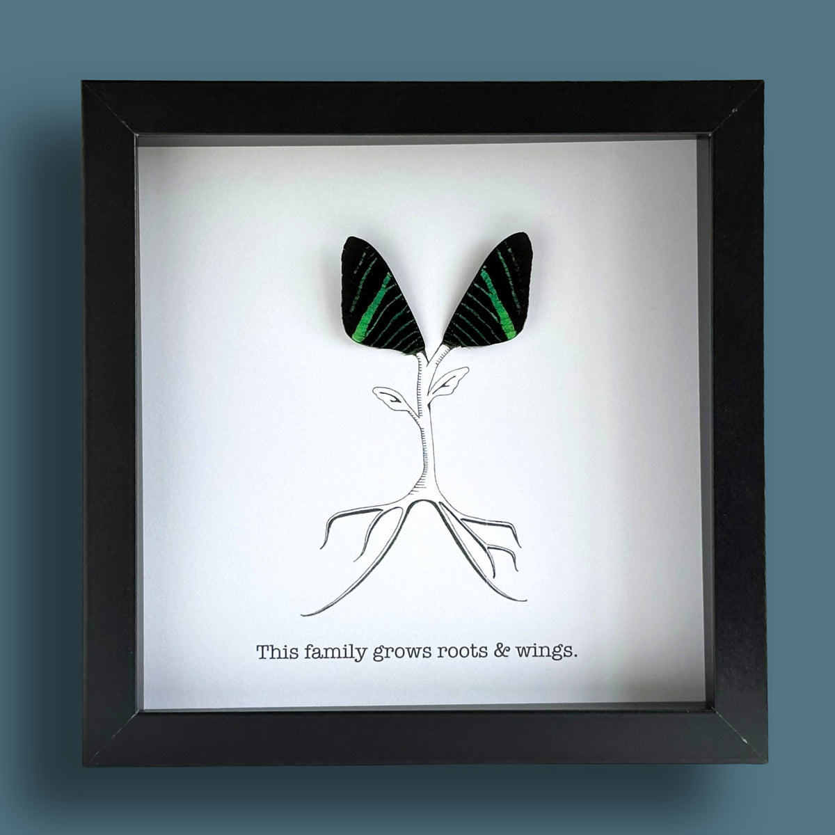 This Family Grows Roots and Wings Framed Art with Real Butterfly Wings
