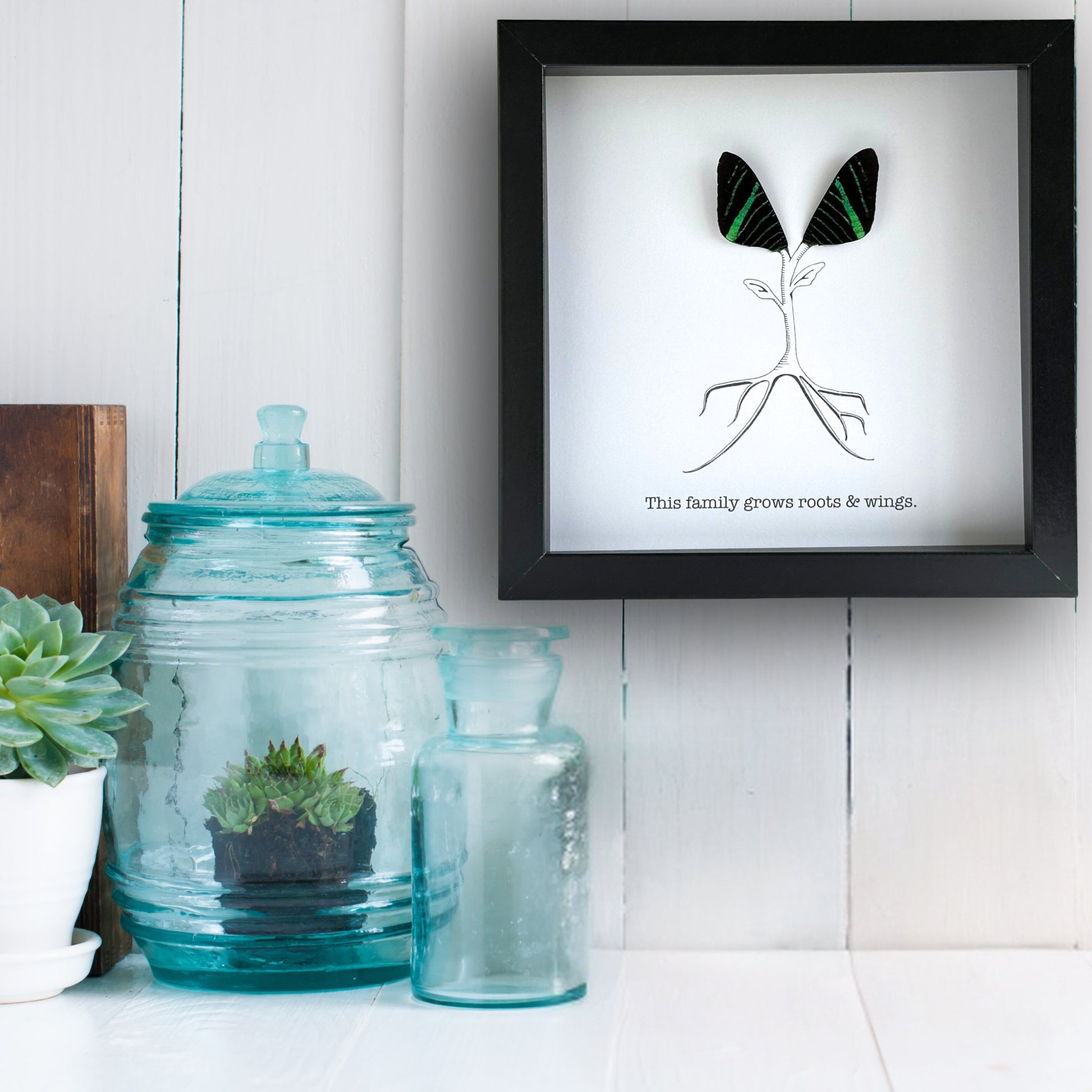 This Family Grows Roots and Wings Framed Art with Real Butterfly Wings - Isms Butterfly Conservation ArtFramed Art