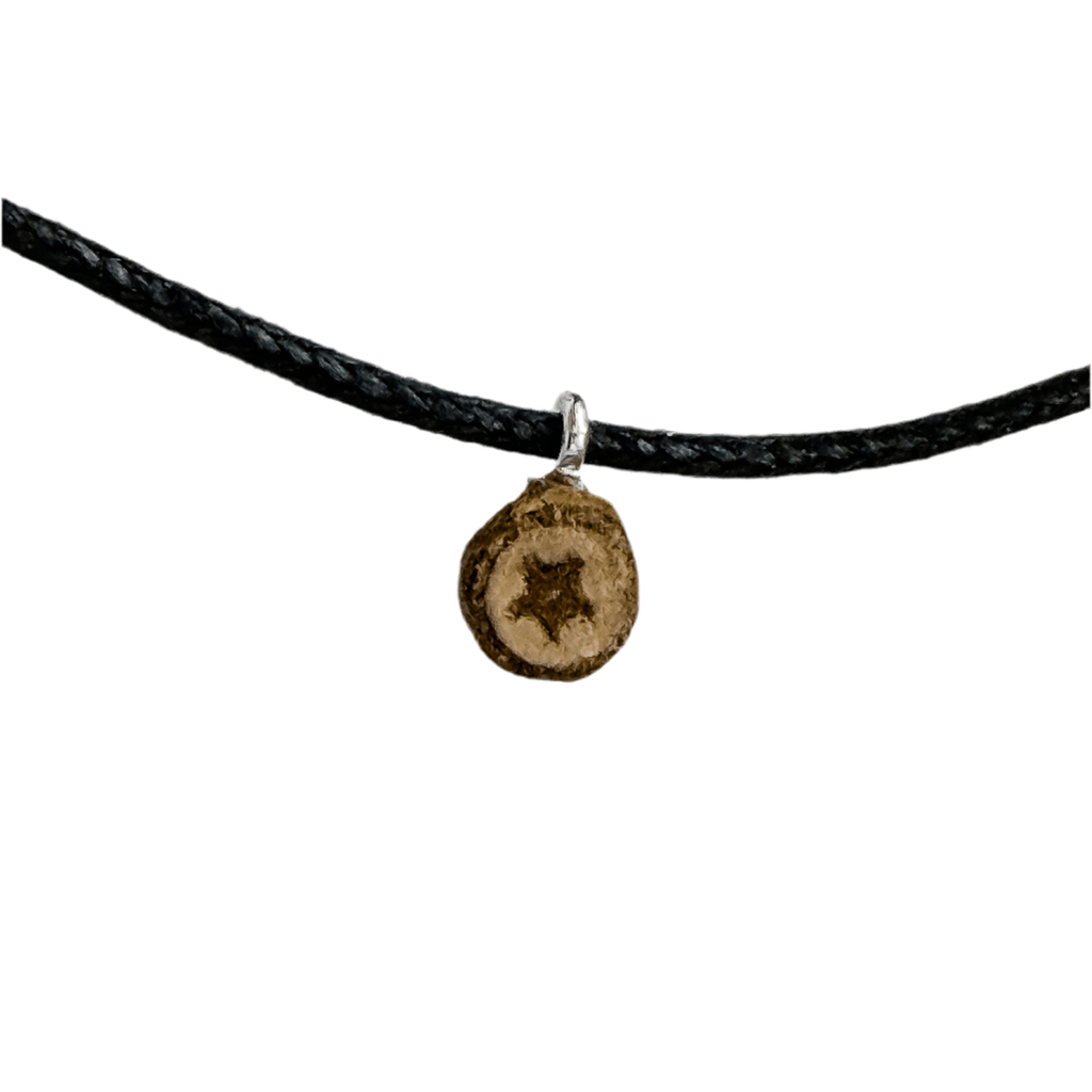 Tree - Made Star Pendant - Isms Butterfly Conservation ArtMultiwear jewelry