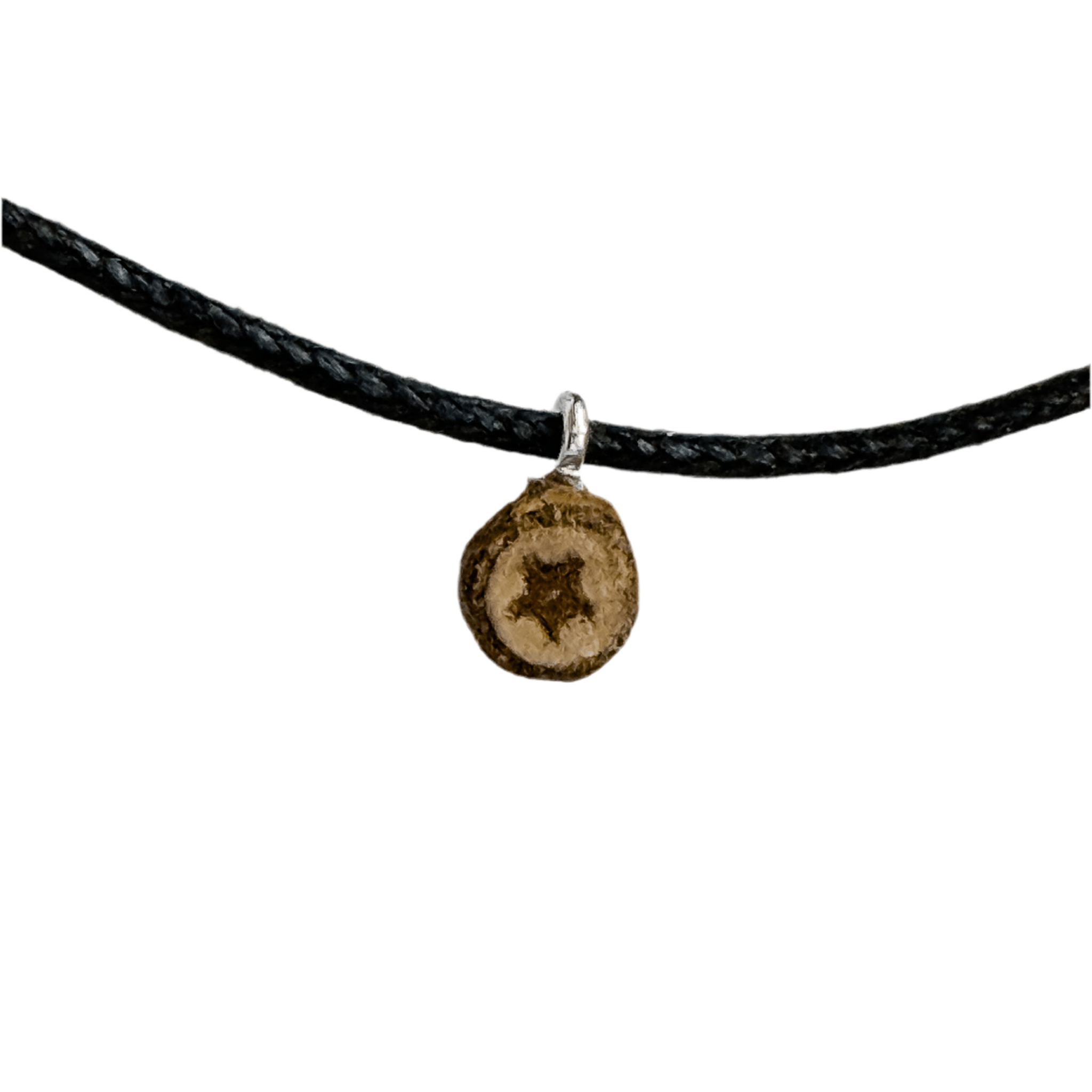 Tree - Made Star Pendant - Isms Butterfly Conservation ArtMultiwear jewelry