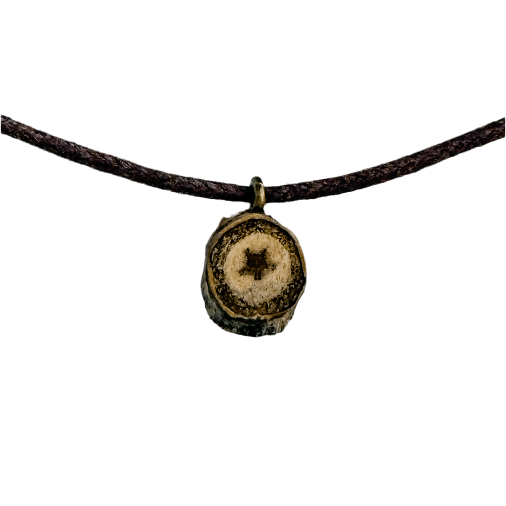 Tree - Made Star Pendant - Isms Butterfly Conservation ArtMultiwear jewelry