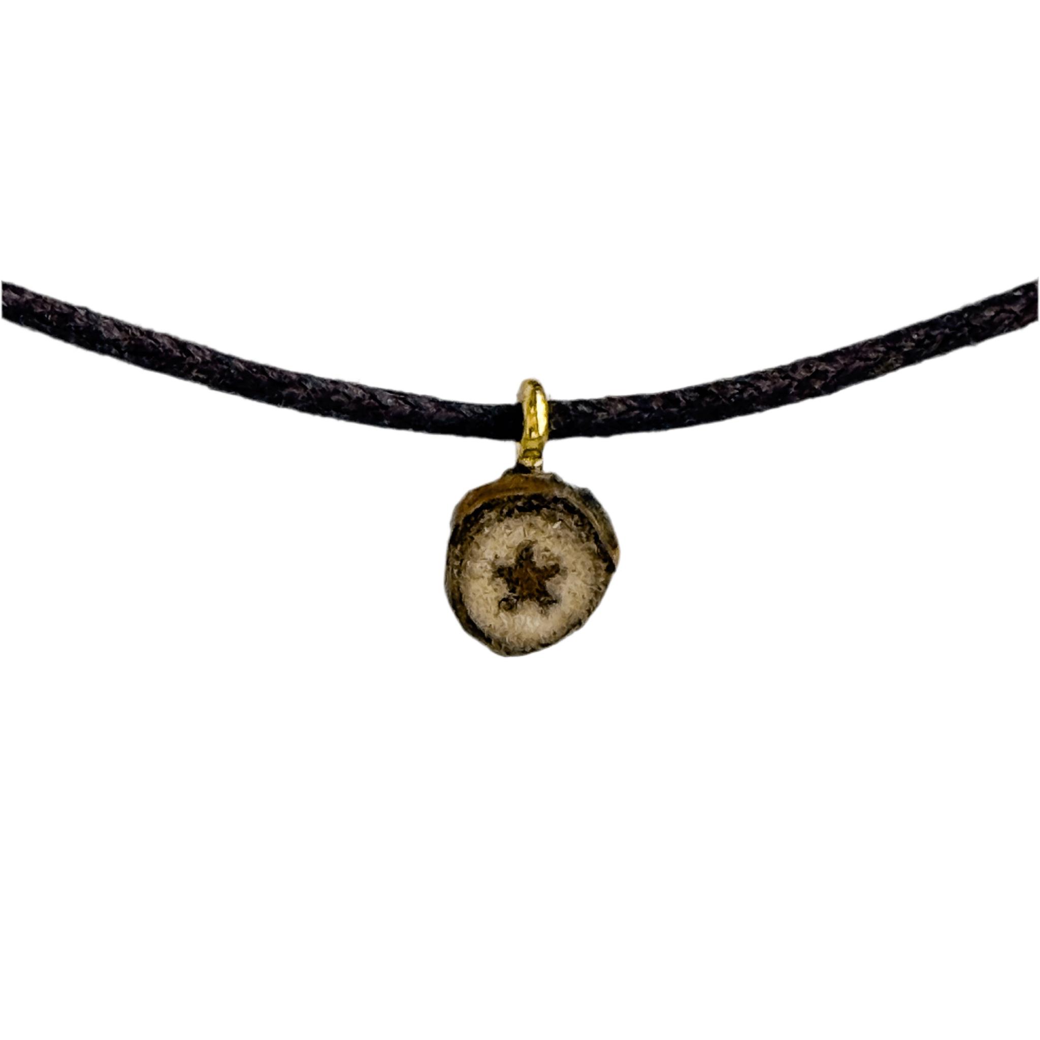 Tree - Made Star Pendant - Isms Butterfly Conservation ArtMultiwear jewelry