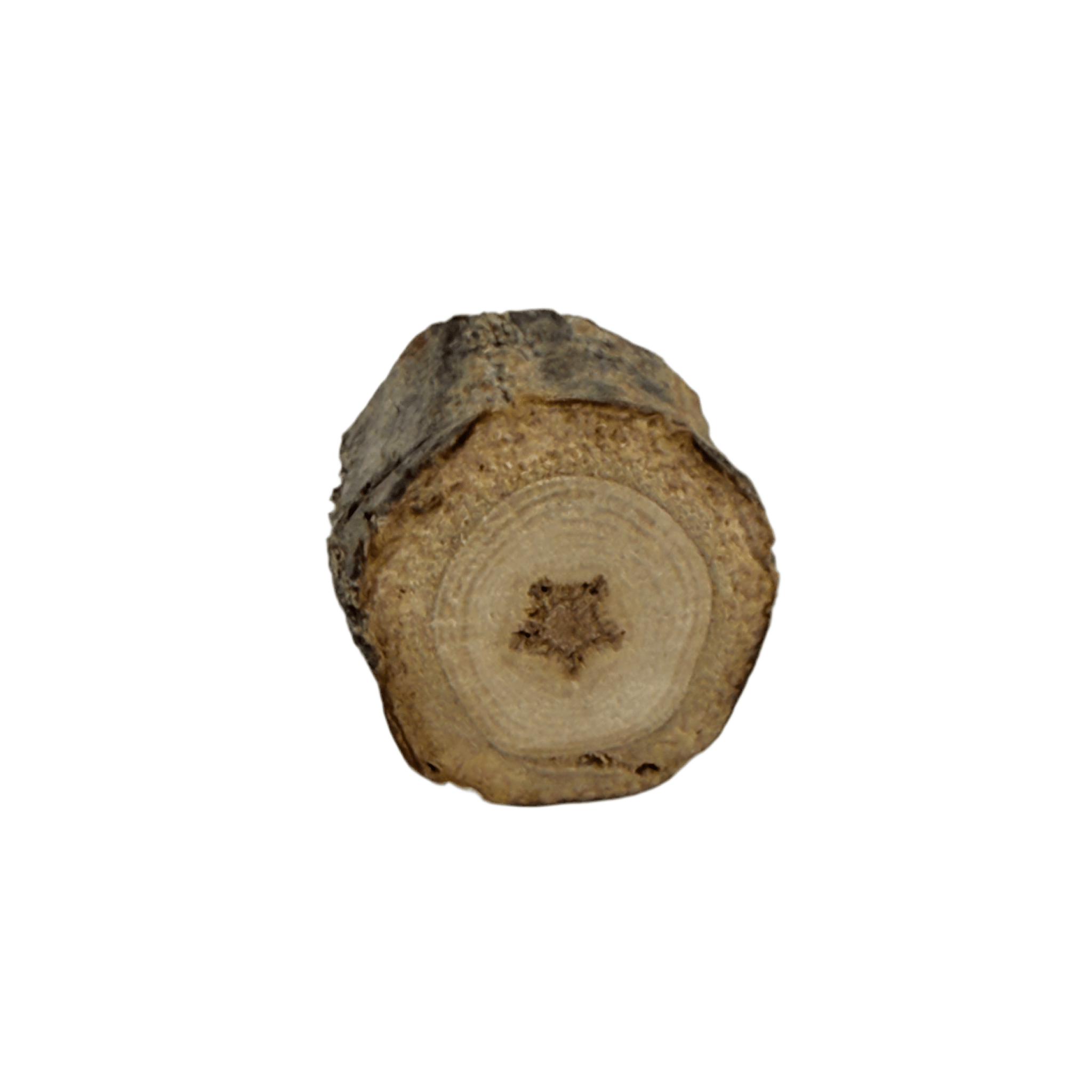 Tree - Made Star Tack Pin - Isms Butterfly Conservation ArtPins