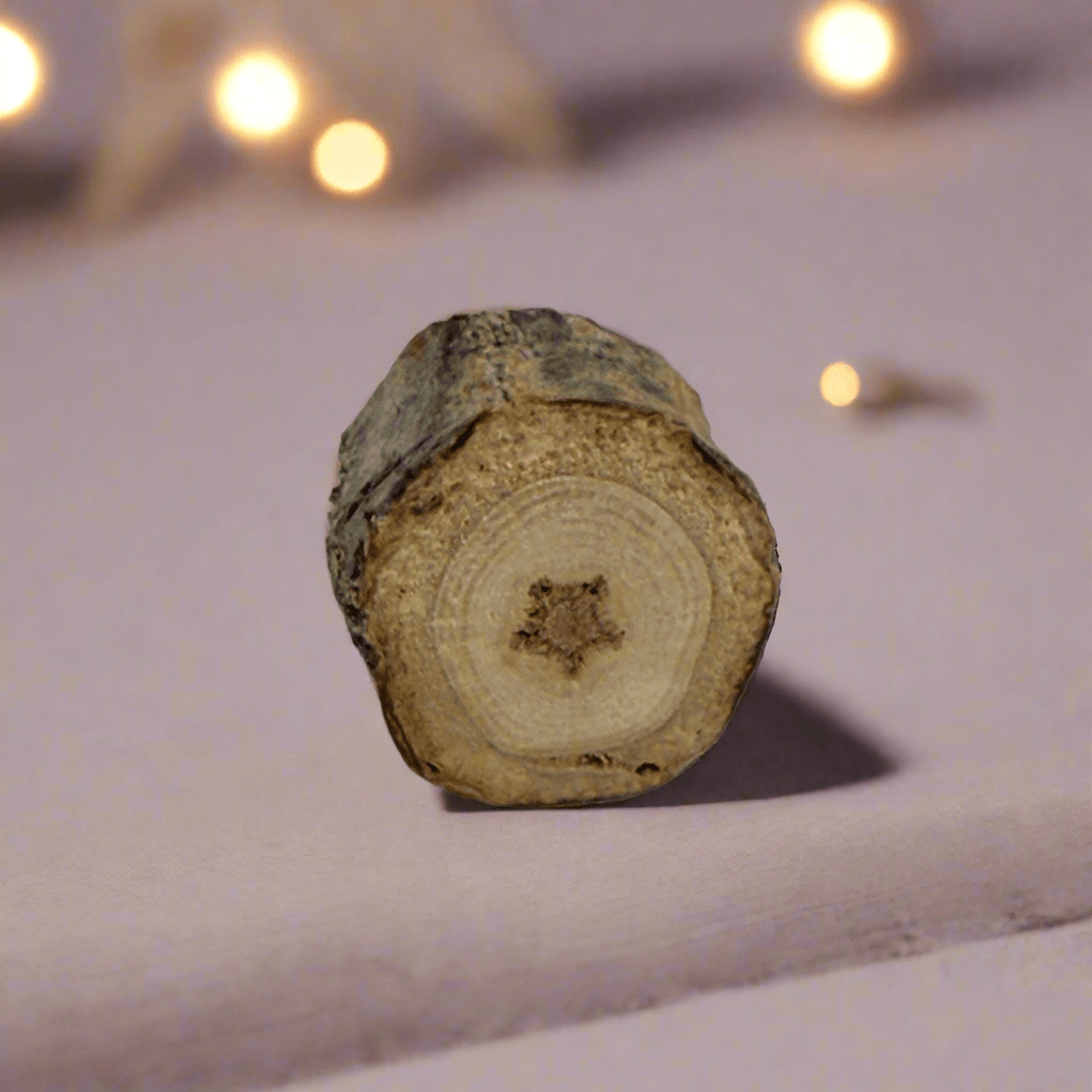 Tree - Made Star Tack Pin - Isms Butterfly Conservation ArtPins