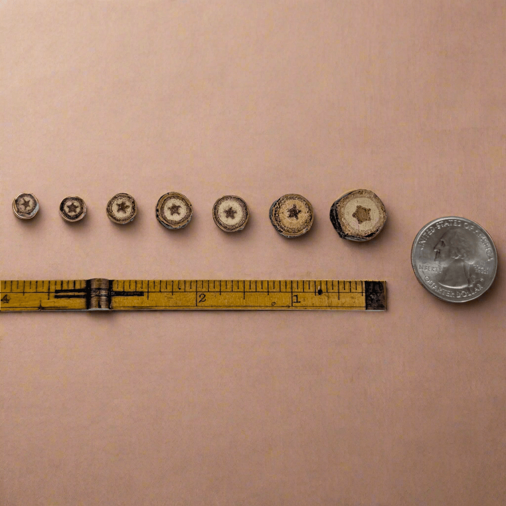 Tree - Made Star Tack Pin - Isms Butterfly Conservation ArtPins