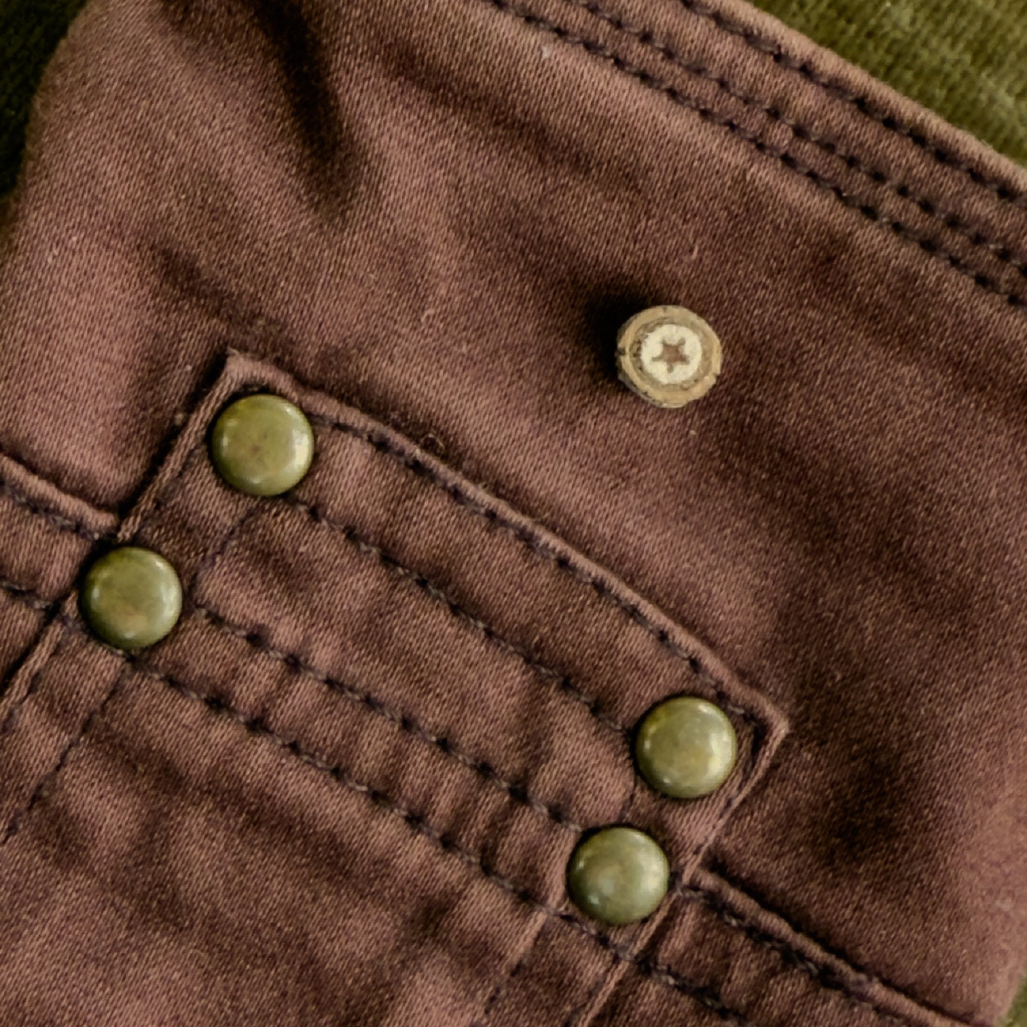 Tree - Made Star Tack Pin - Isms Butterfly Conservation ArtPins