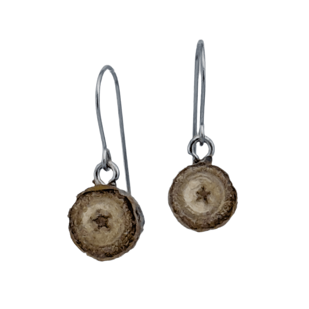 Tree Star Earrings - Isms Butterfly Conservation ArtEarrings