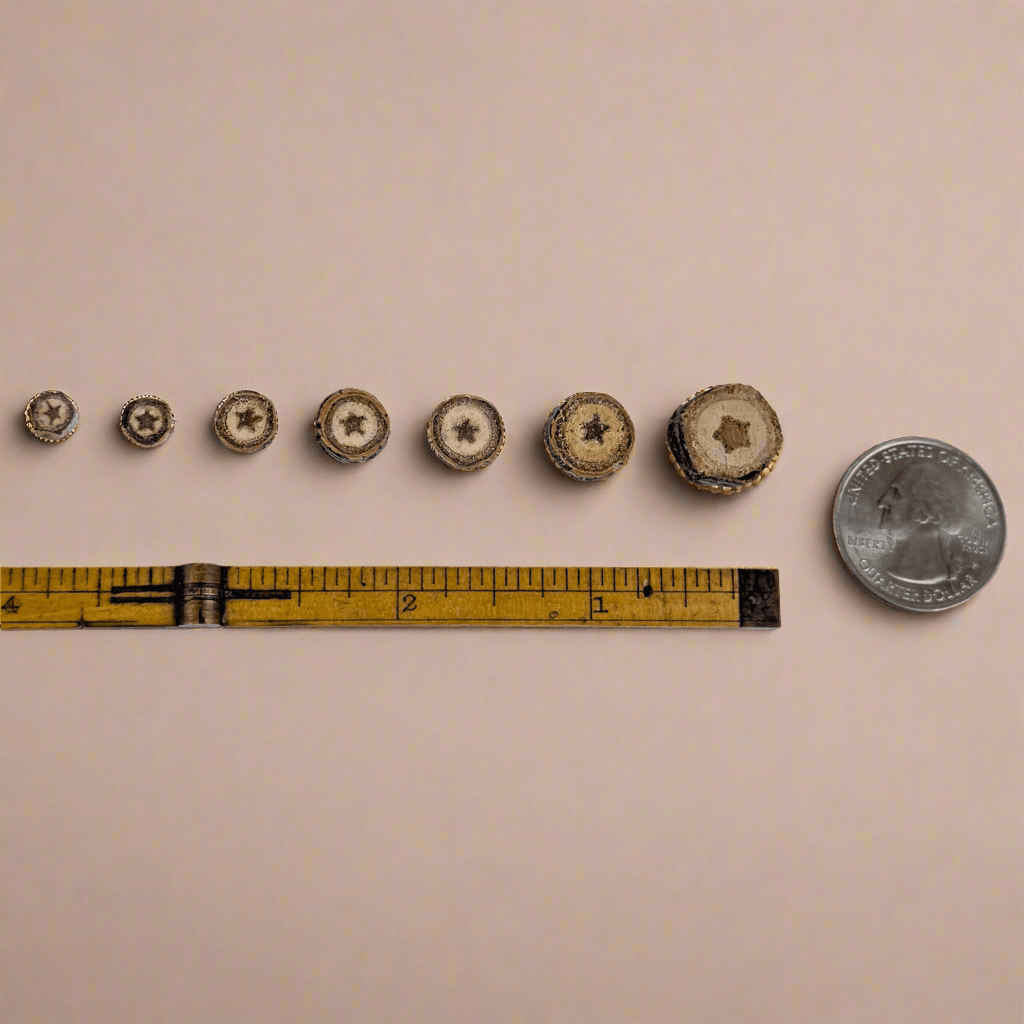 Tree Star Sizes with Ruler and coin- Isms Butterfly Conservation Art Earrings