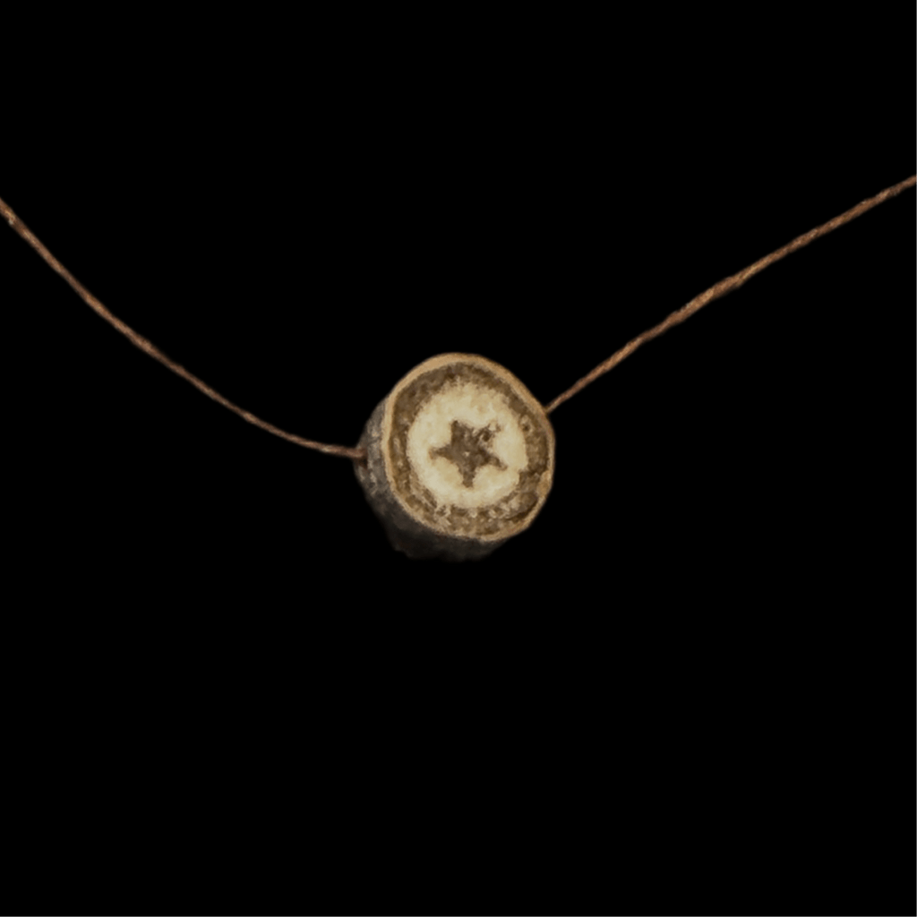 Tree Star Slide Multi - Jewelry - Isms Butterfly Conservation ArtMultiwear jewelry