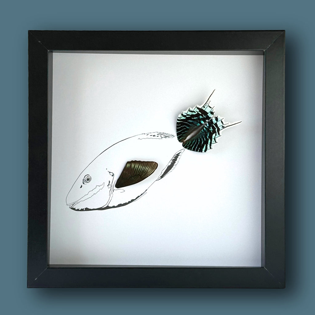 Tropical Parrot Fish Framed Art with Real Butterfly Wings - Isms Butterfly Conservation ArtFramed Art