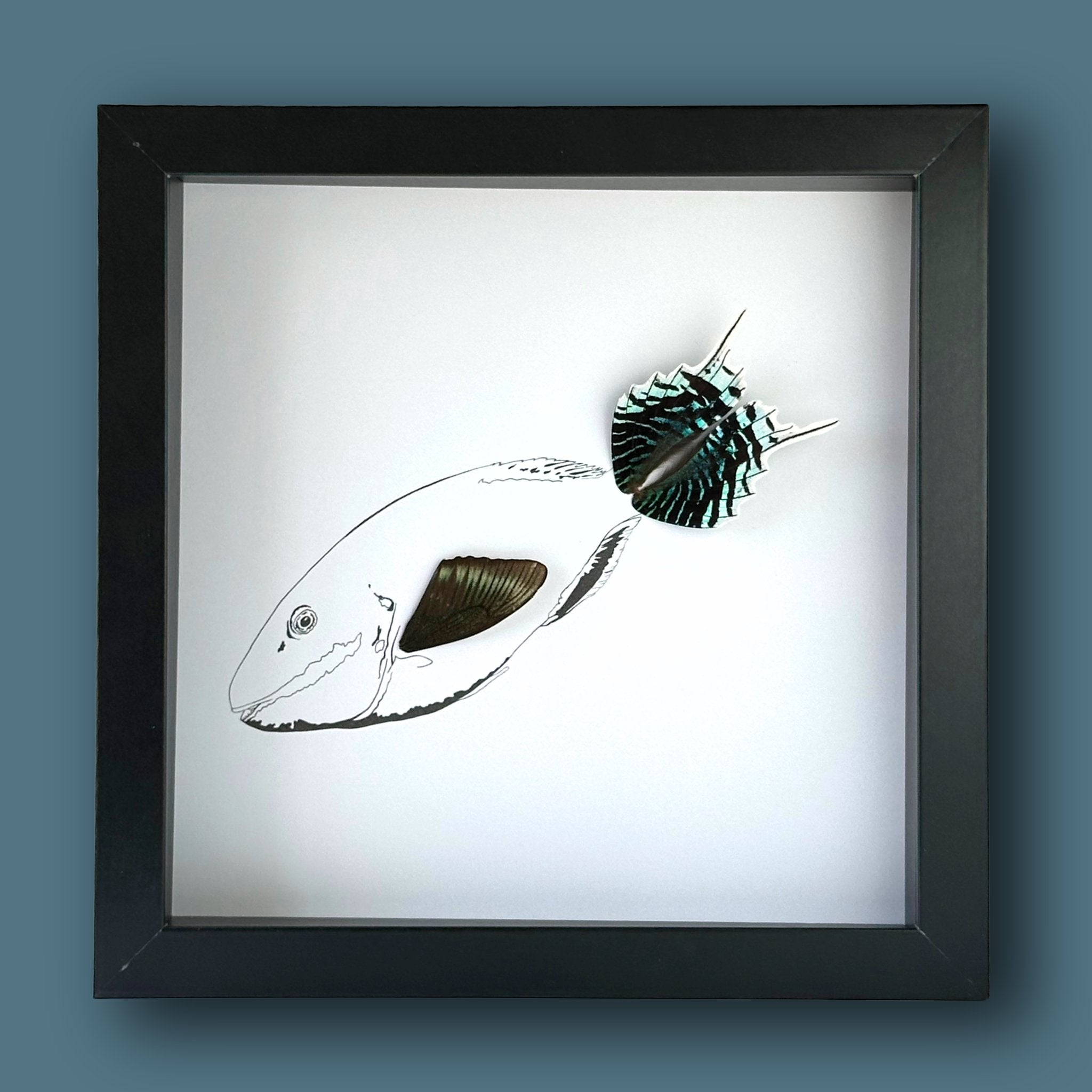 Tropical Parrot Fish Framed Art with Real Butterfly Wings - Isms Butterfly Conservation ArtFramed Art
