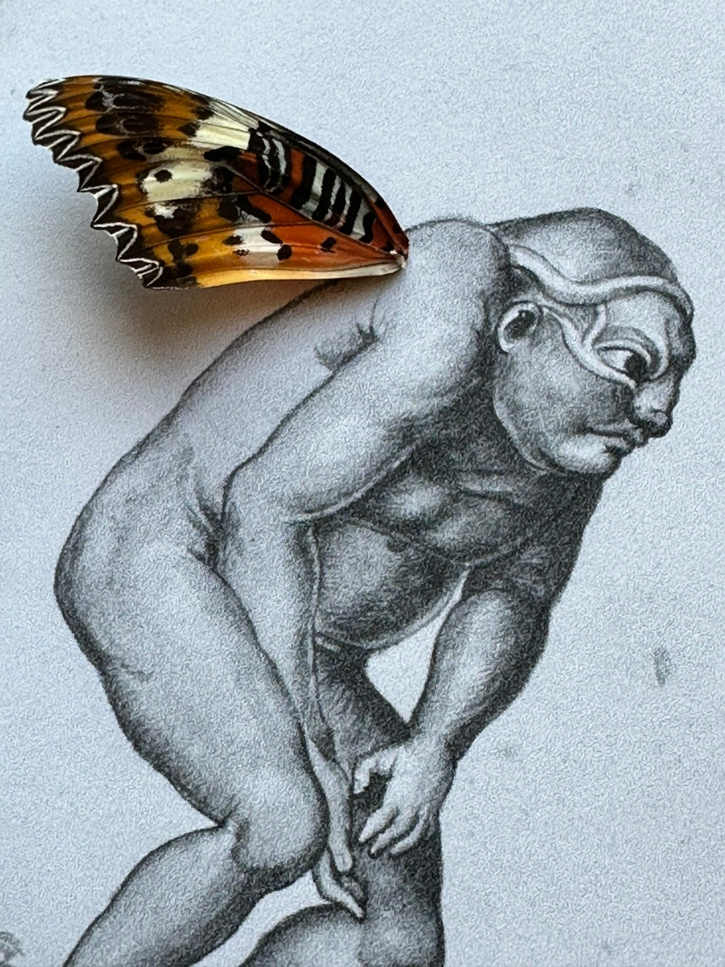 a butterfly sitting on top of a drawing of a man