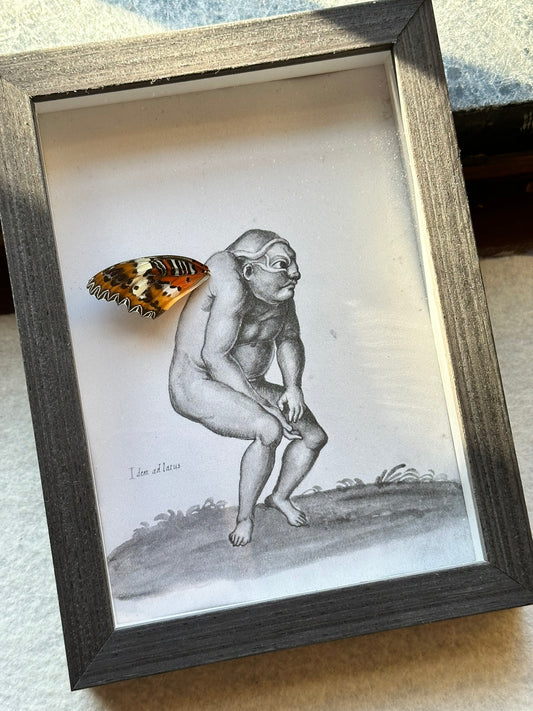 a drawing of a man holding a butterfly in a frame