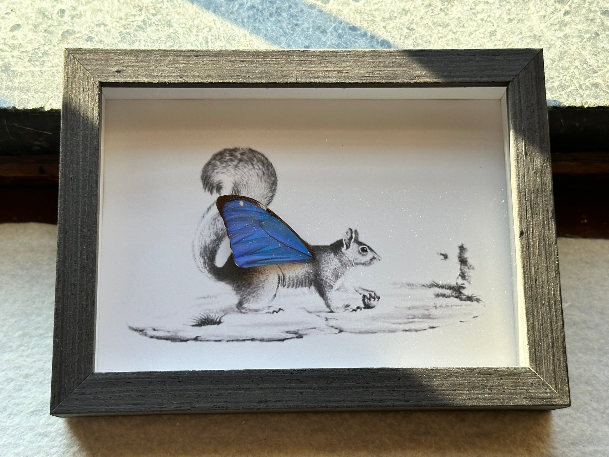 a picture of a squirrel with a blue butterfly on its back