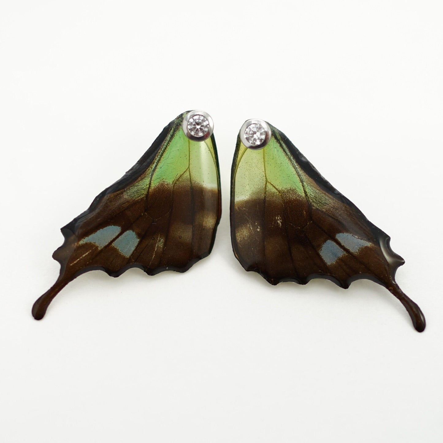 Real Graphium weiskei Hind Wing Earrings With Options