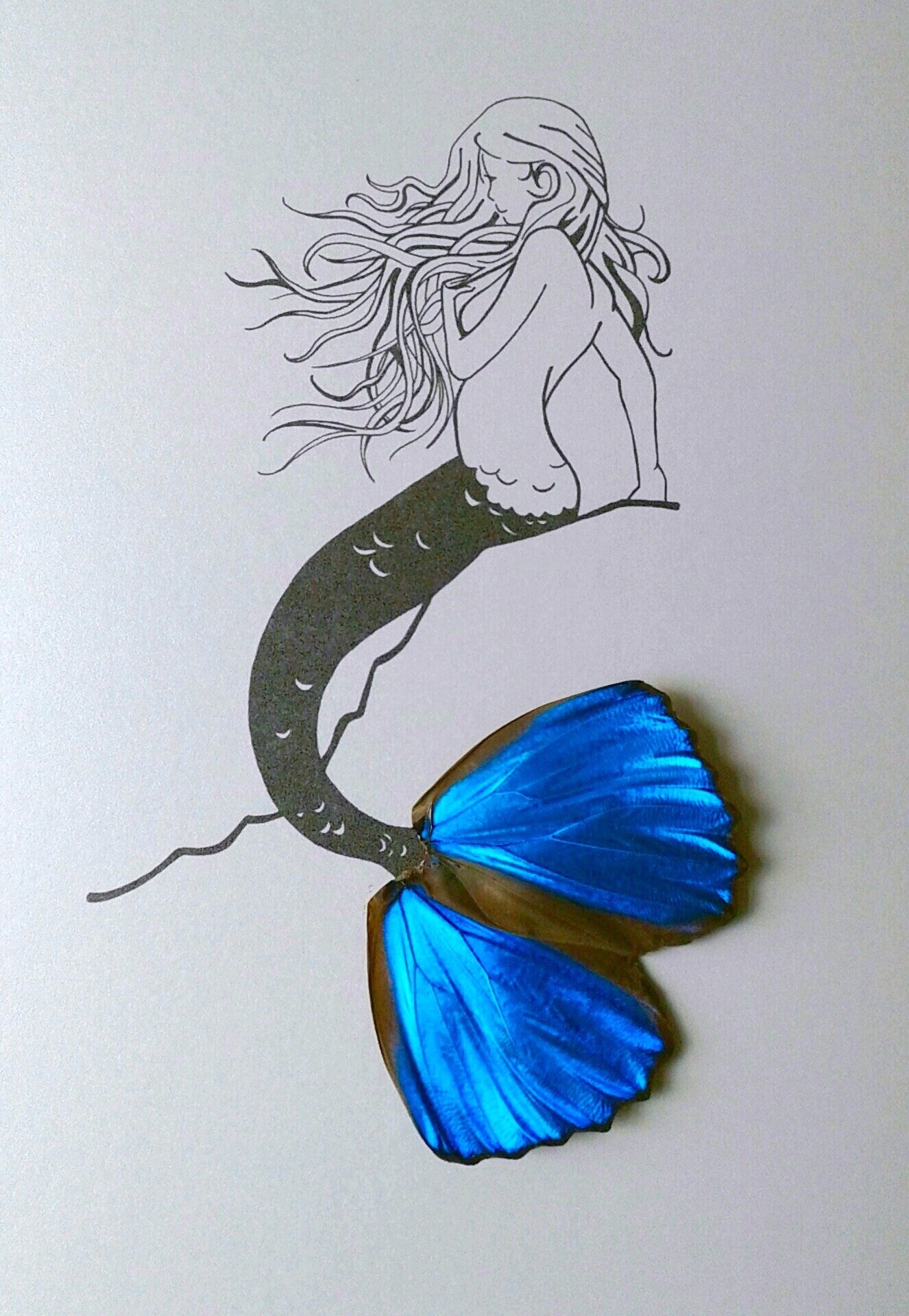 Mermaid Real Butterfly Wing Tail Framed Art From and For Conservation