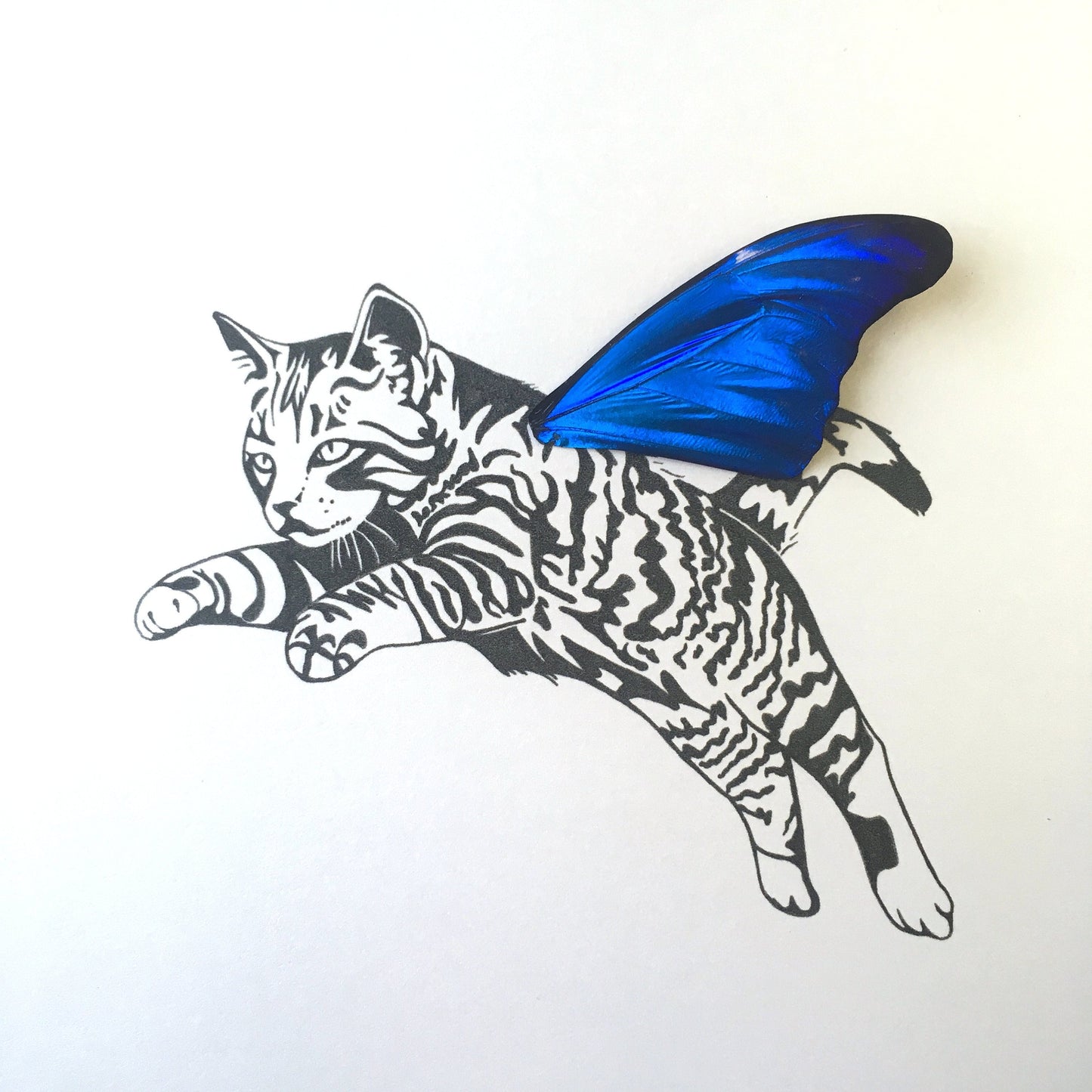 Tabby Striped Cat Real Butterfly Wing Art From and For Conservation