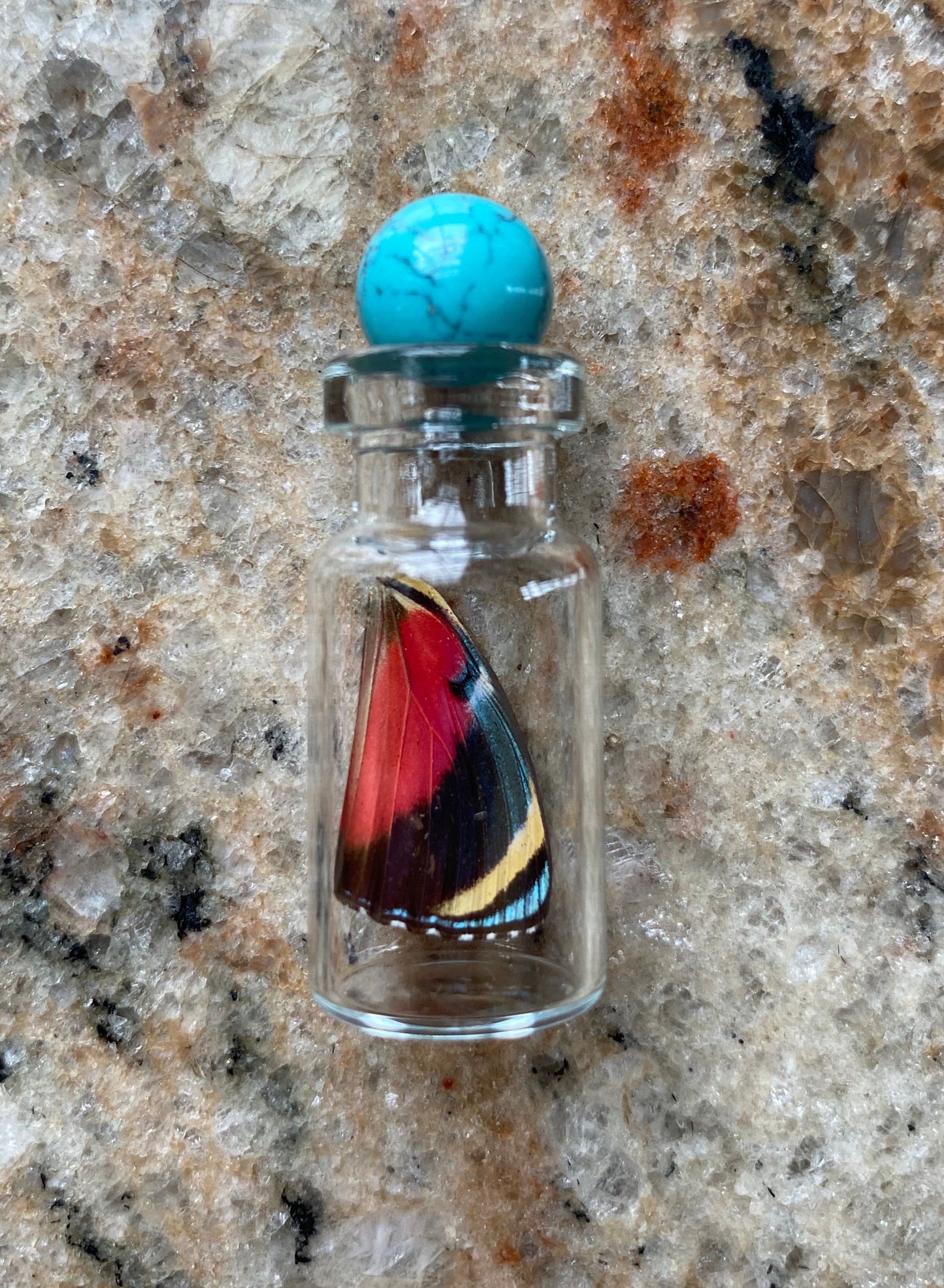 XX-Small Real Butterfly Wing Bottle From and For Conservation