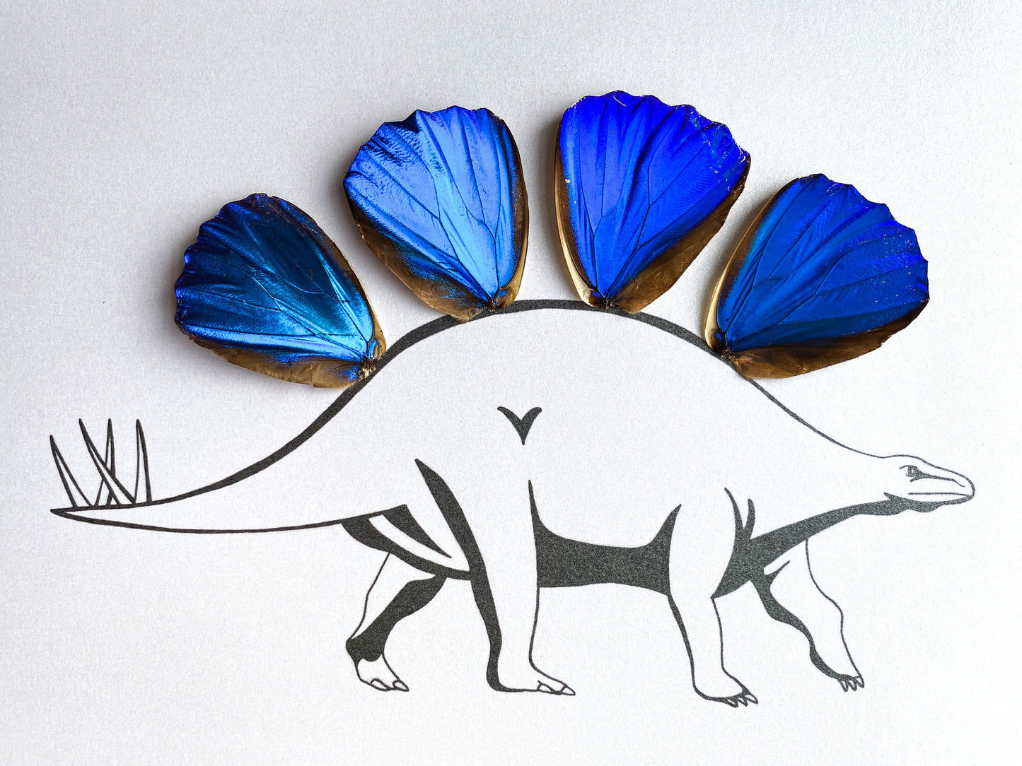 Dinosaur Stegosaurus Real Butterfly Wing Art Ethically Sourced Made in MN USA - Holly Ulm - Isms Butterfly Conservation Art