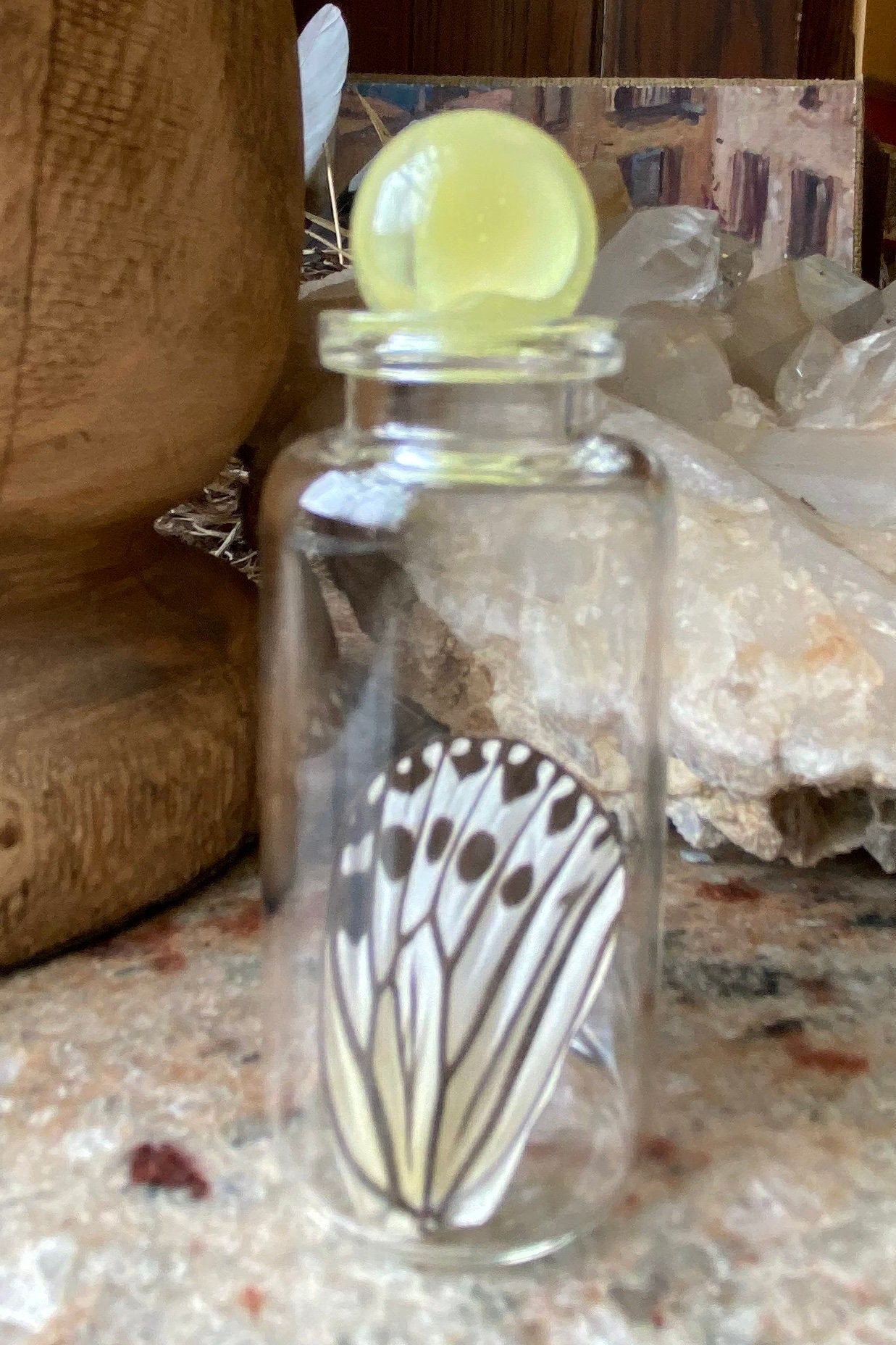 Real Butterfly Wing in Bottle M-2 Specimen Jar ethically sourced Funds Conservation