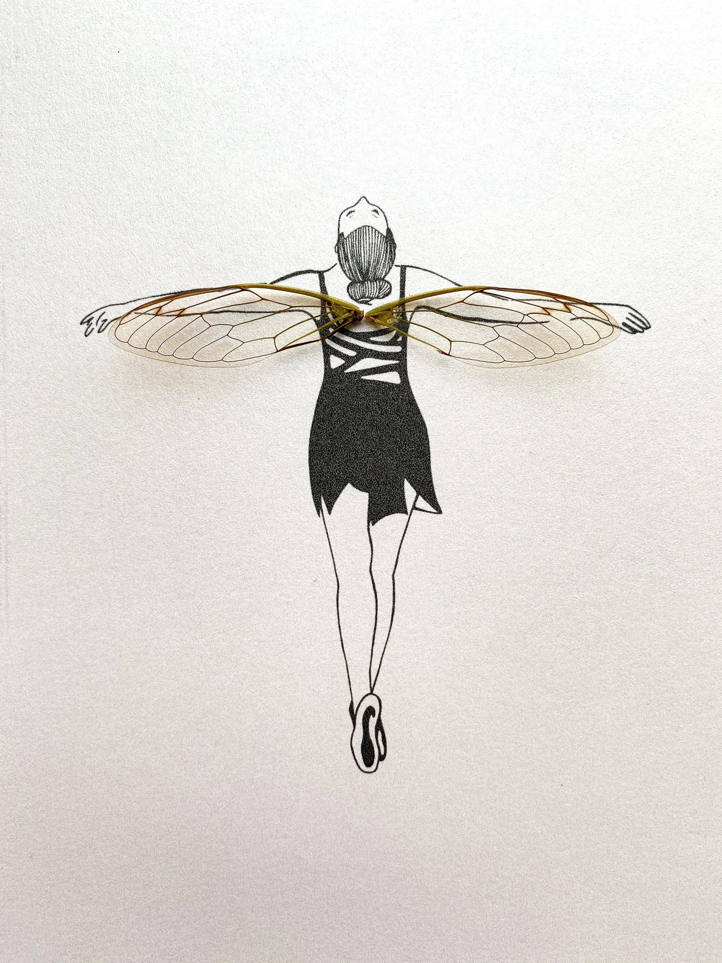 Ballerina Fairy Dancer Real Butterfly Wings Frame Illustration From and For Conservation