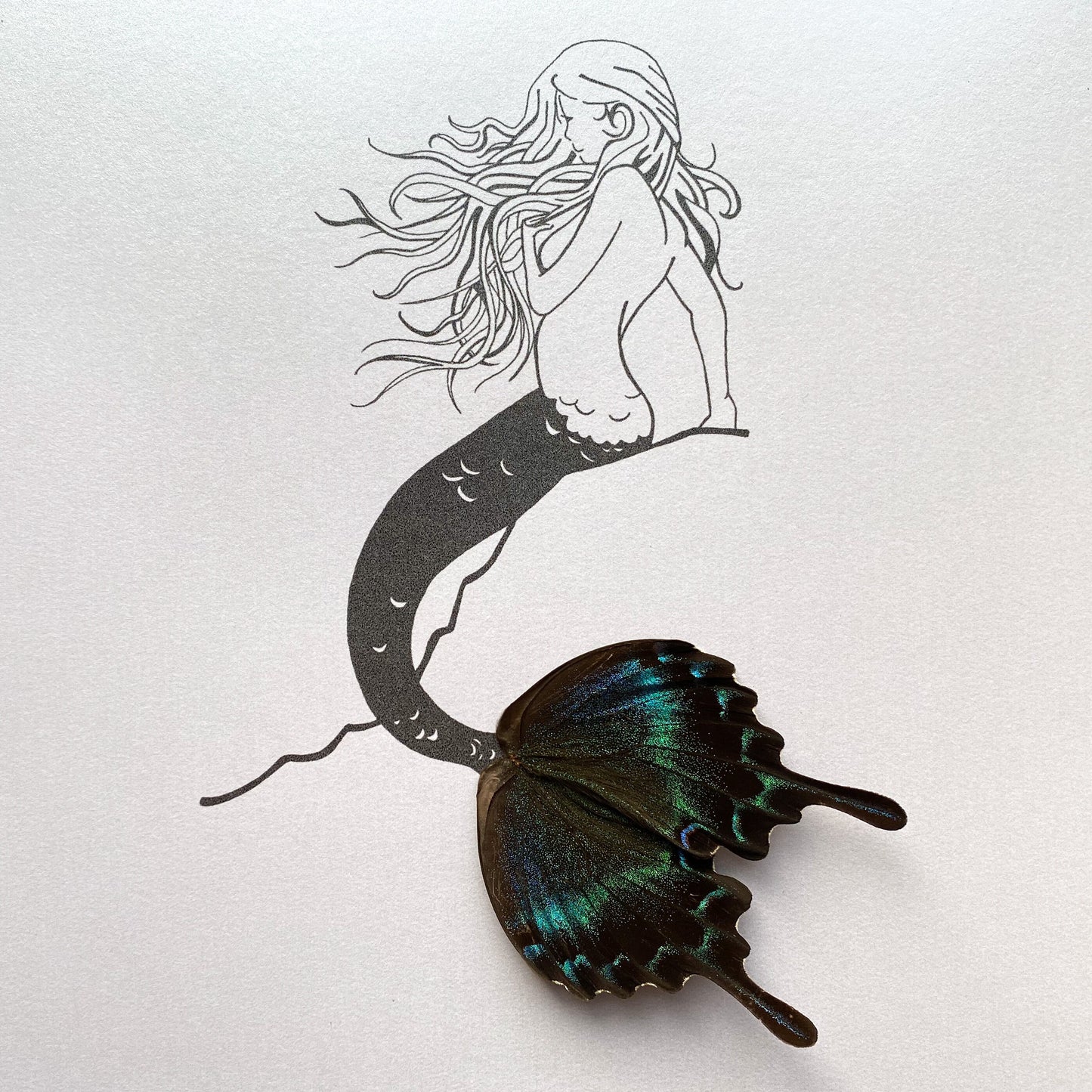 Mermaid Real Butterfly Wings Framed Art Ethically Sourced Made in MN USA - Holly Ulm - Isms Butterfly Conservation Art