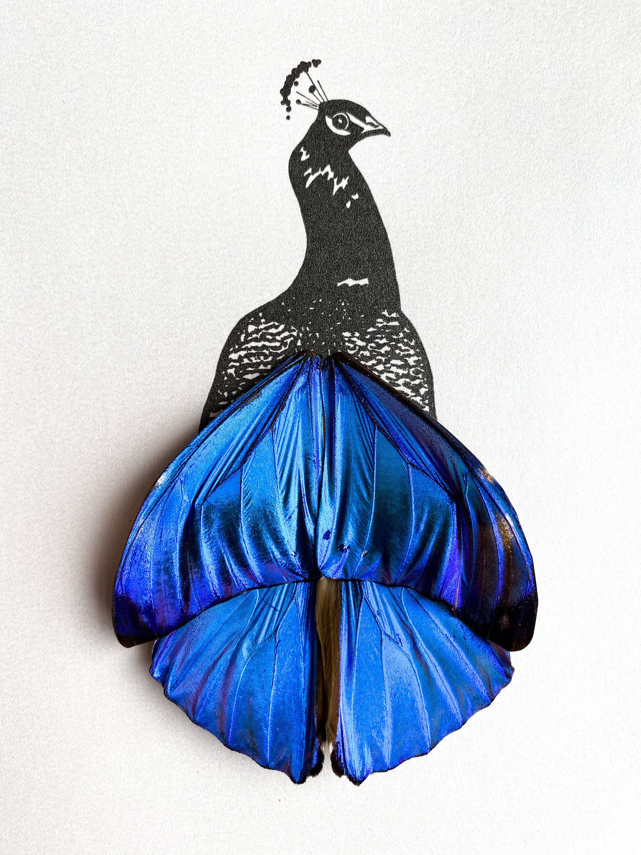 Peacock Full Color Painting · Creative Fabrica