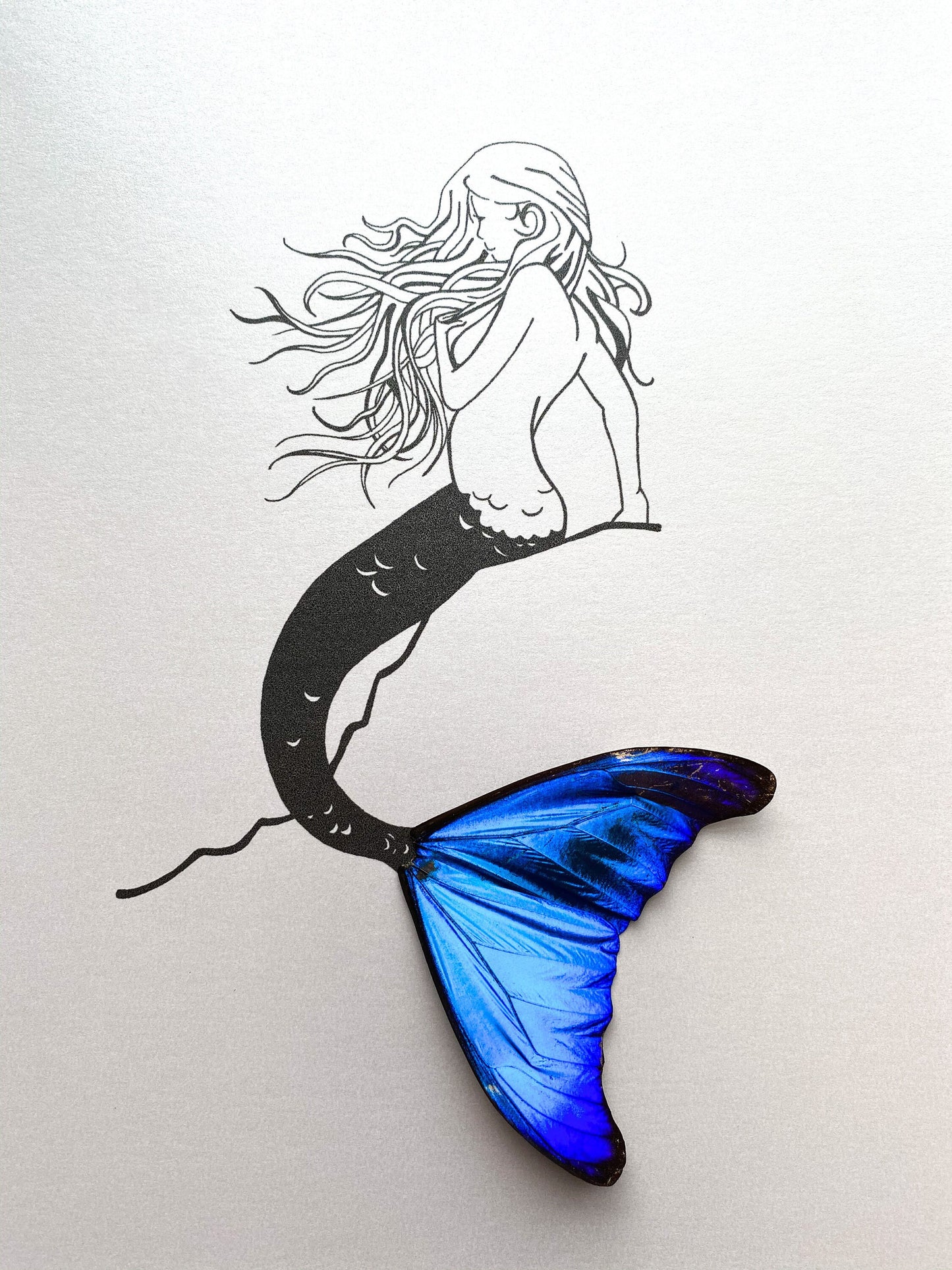 Mermaid Real Butterfly Wing Tail Framed Art From and For Conservation