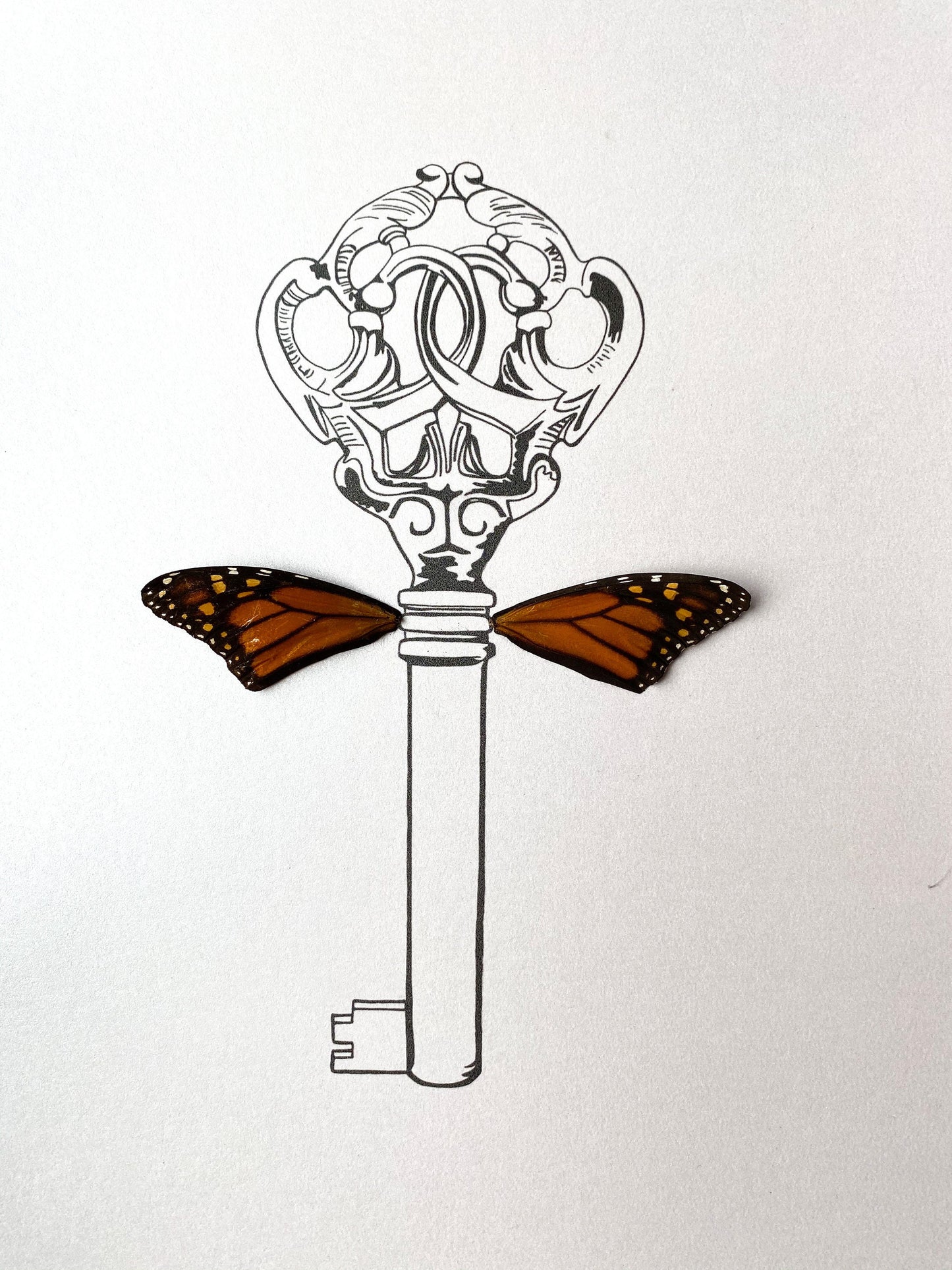 Flying Key with Wings Harry Potter Real Butterfly Wing Art Ethically Sourced Made in MN USA - Holly Ulm - Isms Butterfly Conservation Art