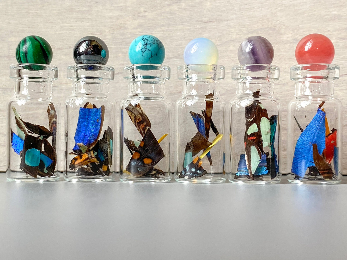 Real Butterfly Wing Confetti Jar Bottle XXS Ethically Sourced Funds Conservation