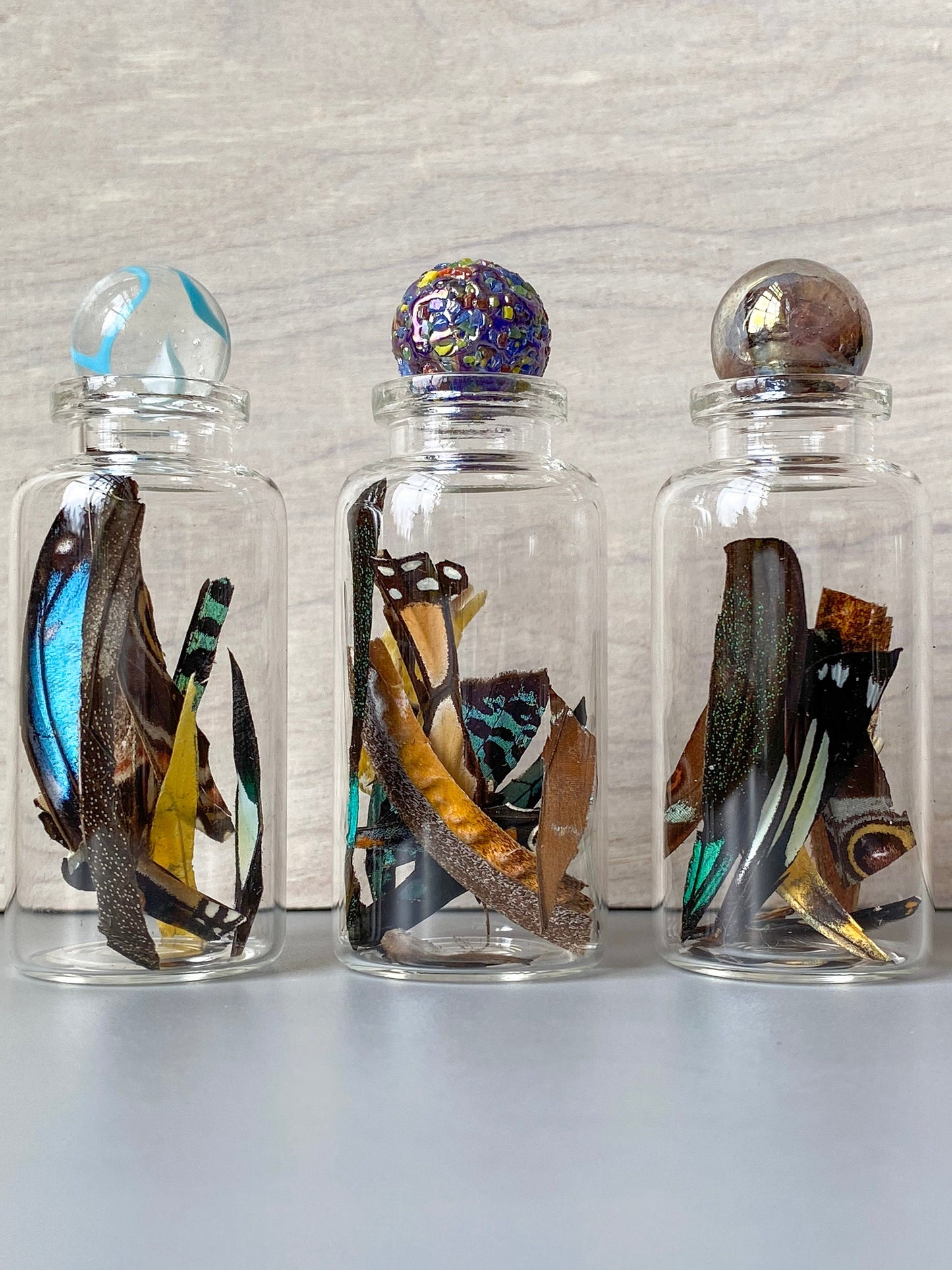 Real Butterfly Wing Confetti Jar Bottle Medium Ethically Sourced Funds Conservation