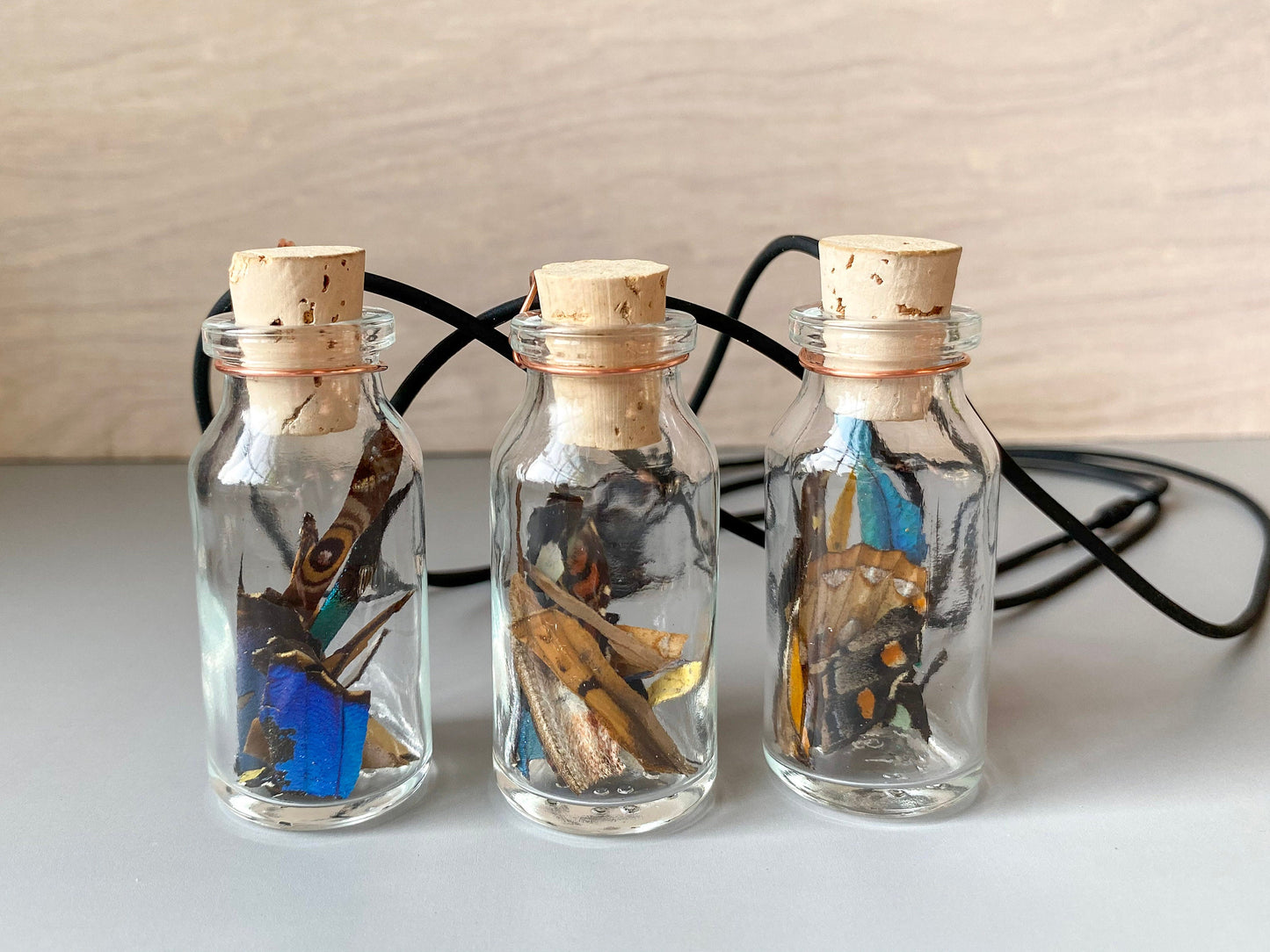 Real Butterfly Wing Confetti Necklace Small Jar Ethically Sourced Funds Conservation