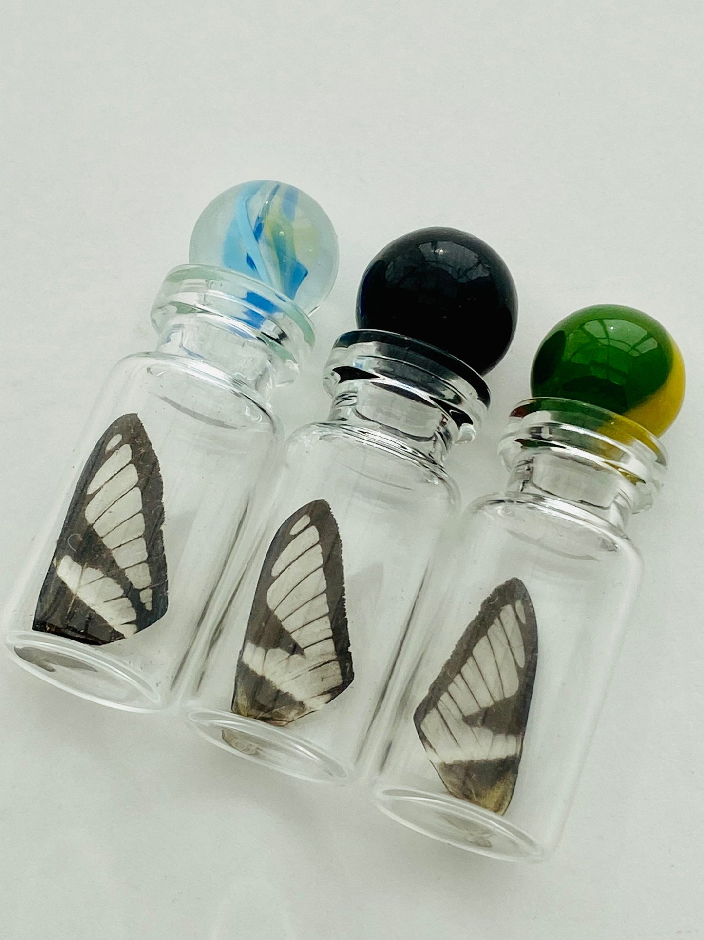 Real Butterfly Glass Jar, Green Dragontail Butterfly Wing (Lamproptera meges) in borosilicate glass bottle, XXS