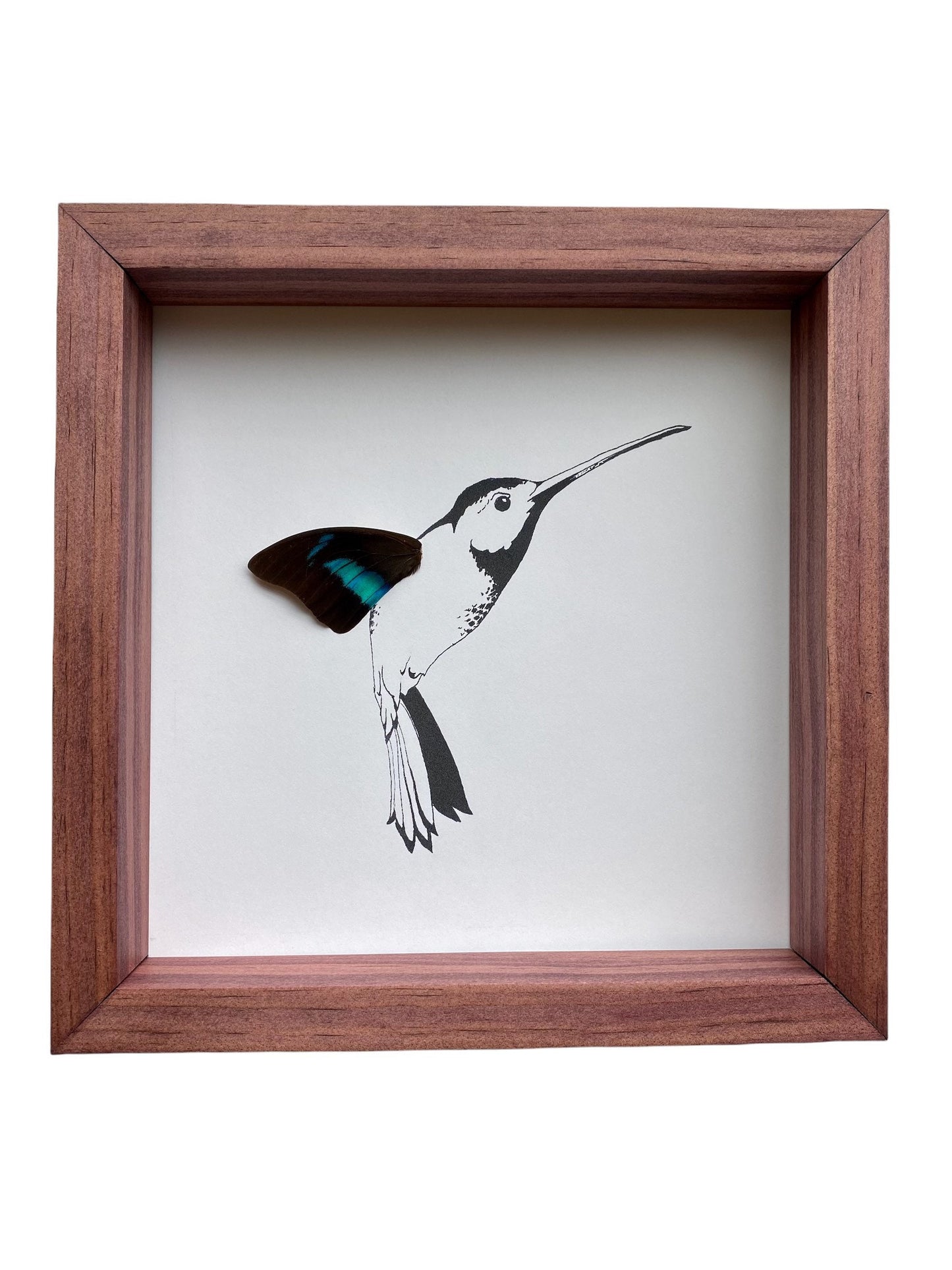 Hummingbird Real Butterfly Wing Framed Art From and For Conservation