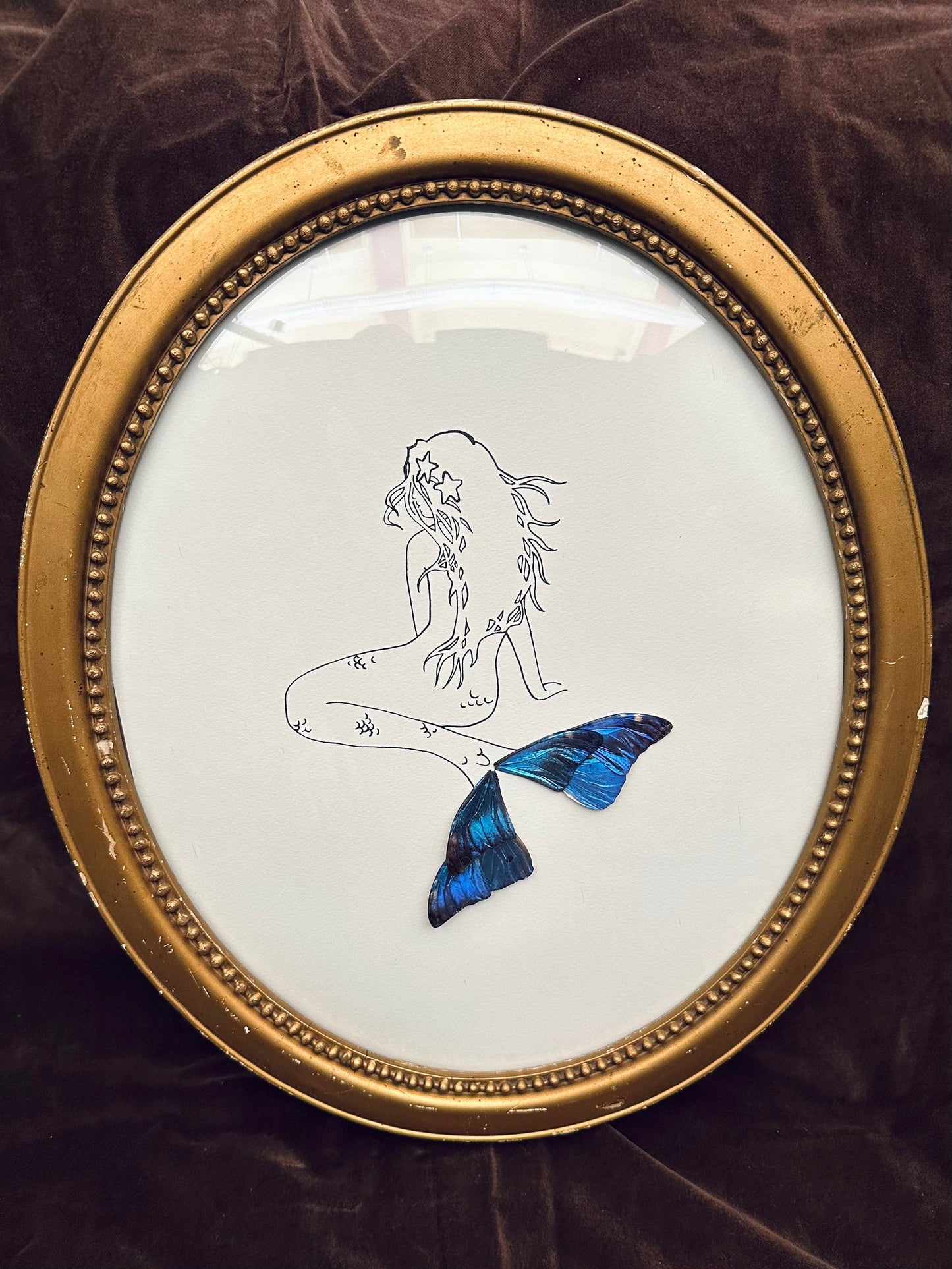 Mermaid Real Adonis Morpho (Morpho adonis) Butterfly Wings vintage bubble glass frame Ink Illustrations by Holly Ulm